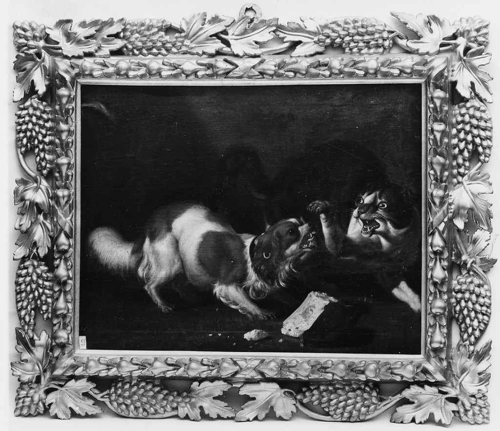 Lotta fra cane e gatto (dipinto) di Ruthart Carl Borromaus Andreas (attribuito) (ultimo quarto sec. XVII)