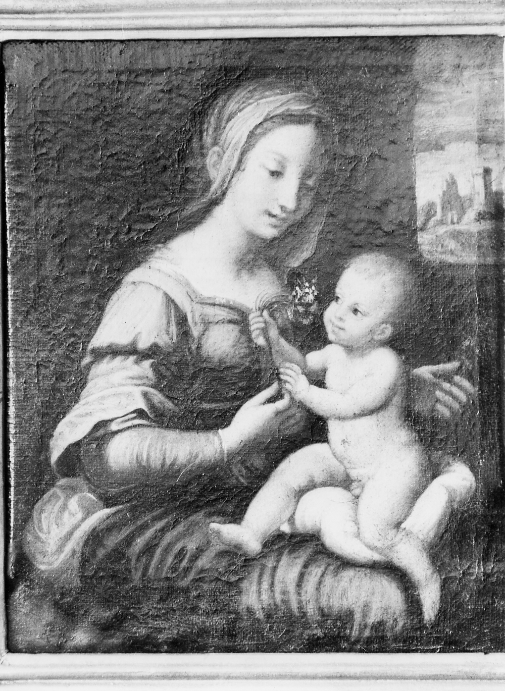 MADONNA DEL GAROFANO, Madonna con Bambino (dipinto) - ambito Italia centrale (metà sec. XVII)