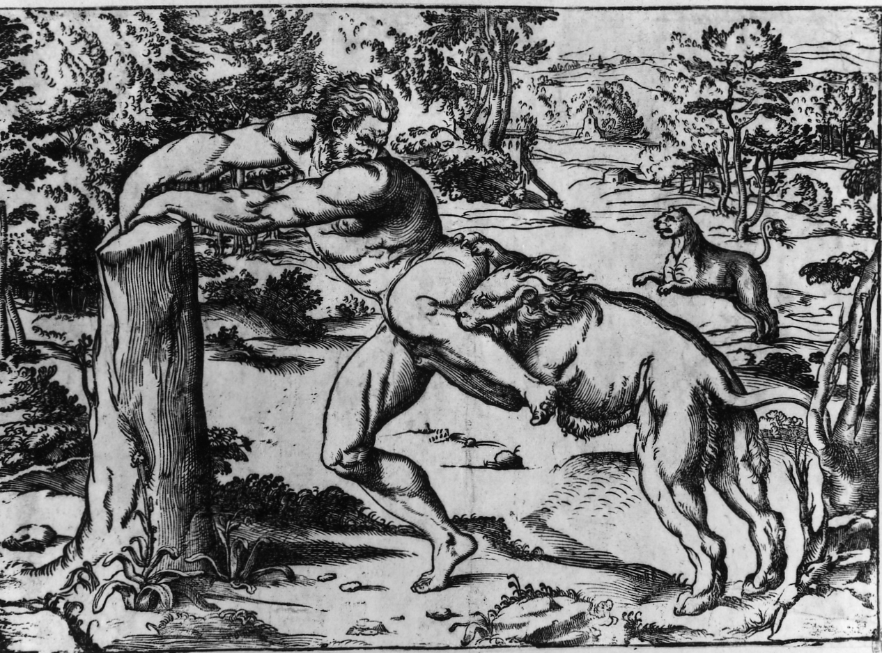 morte di Milone da Crotone (stampa smarginata) di Pordenone, Boldrini Niccolò (sec. XVI)