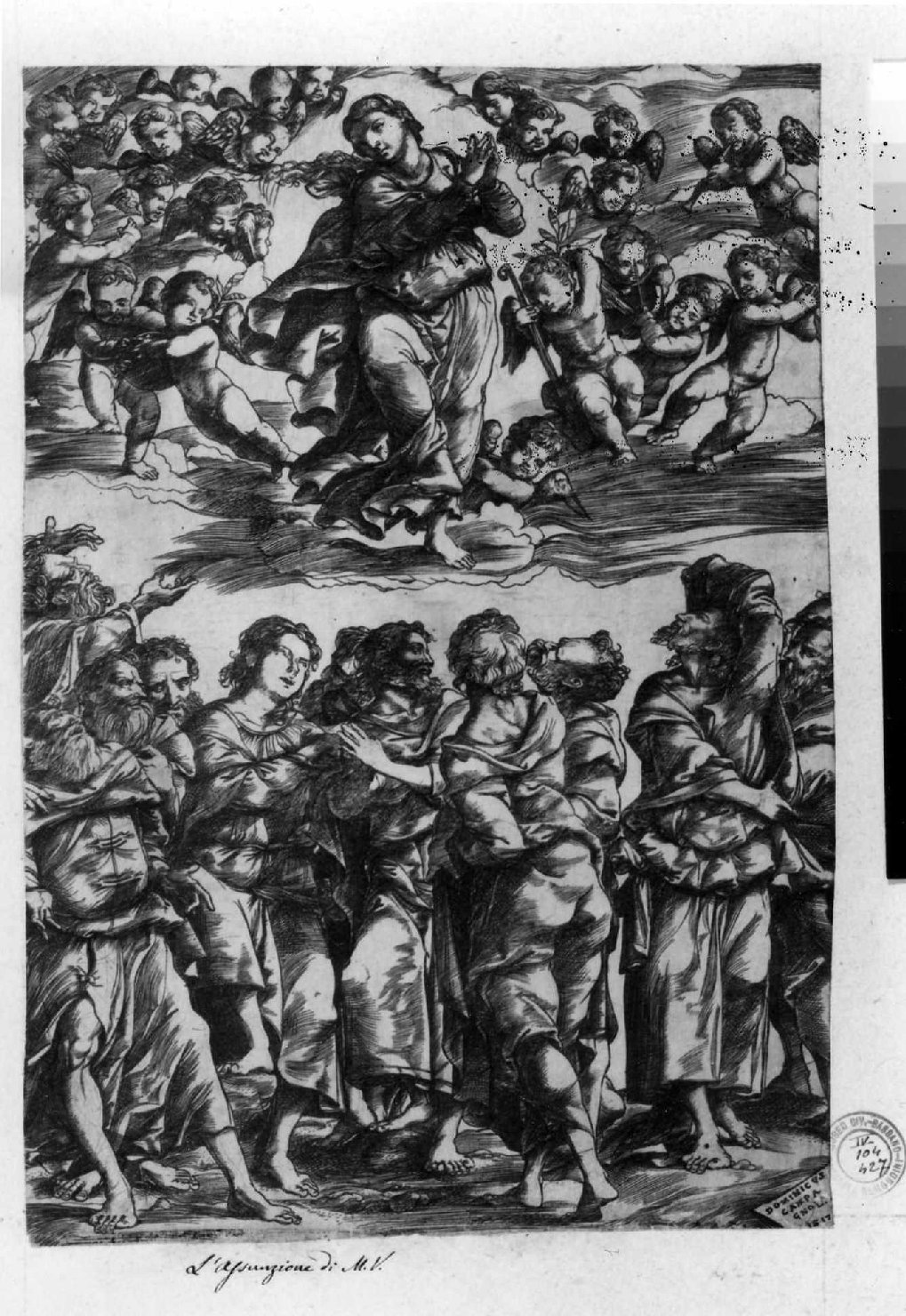 assunzione della Madonna (stampa smarginata) di Campagnola Domenico, Vecellio Tiziano (sec. XVI)