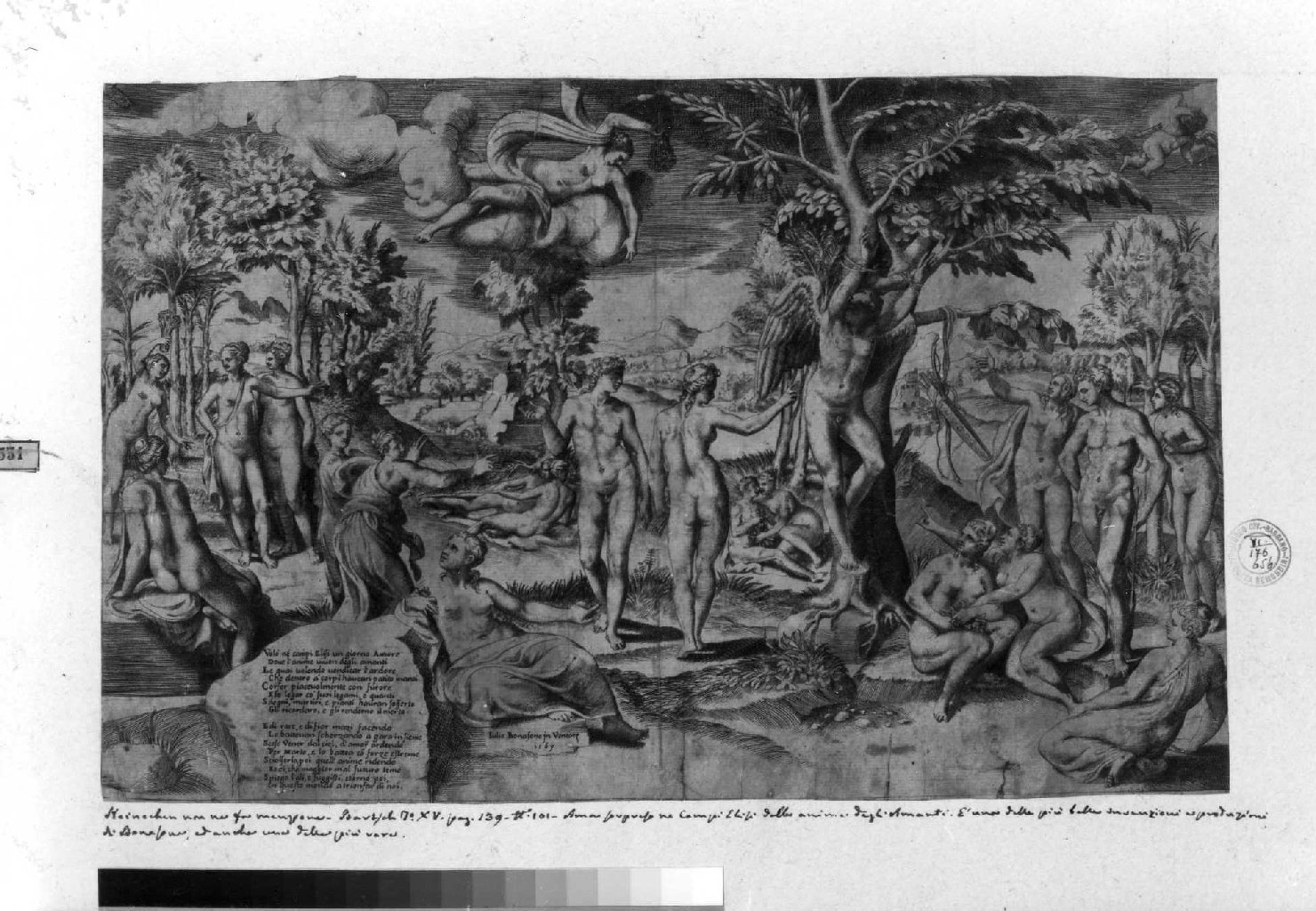 Cupido nei Campi Elisi (stampa smarginata) di Bonasone Giulio (sec. XVI)