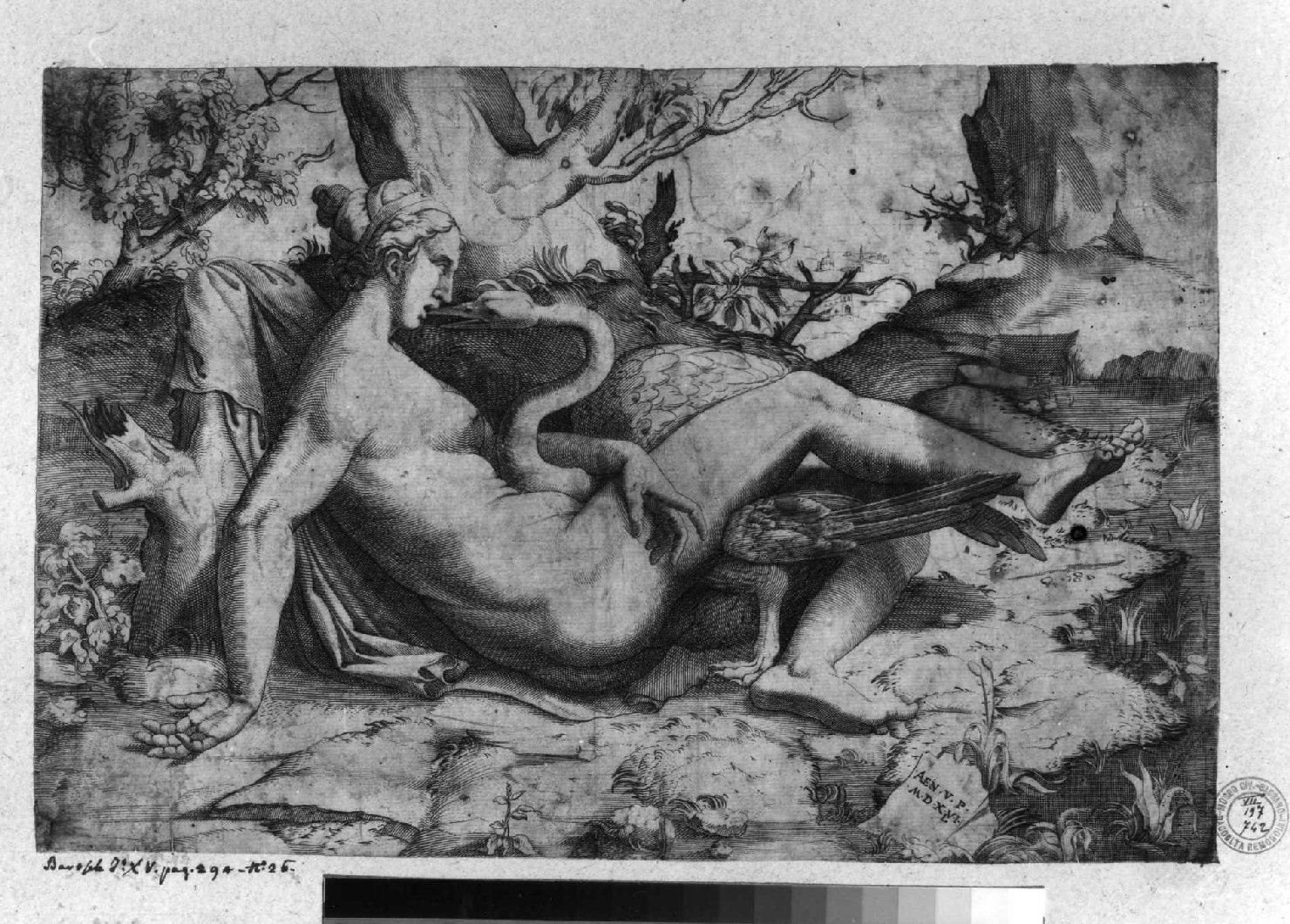 Leda e il cigno (stampa smarginata) di Vico Enea, Buonarroti Michelangelo (sec. XVI)