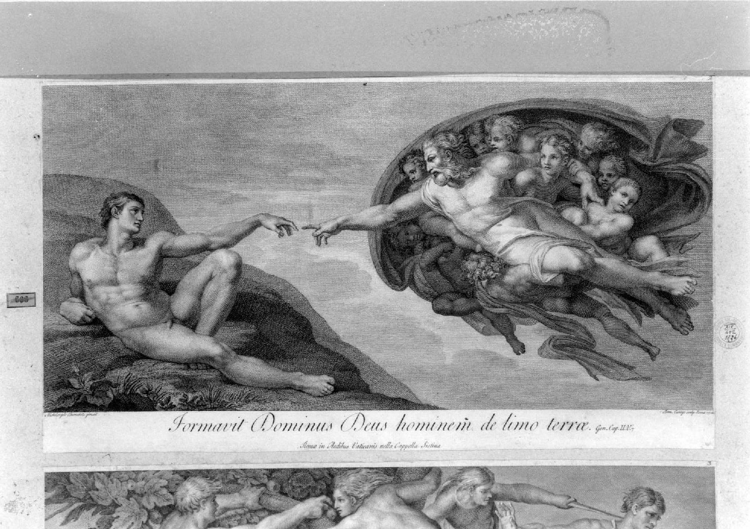 creazione di Adamo (stampa smarginata, serie) di Buonarroti Michelangelo, Cunego Domenico (sec. XVIII)