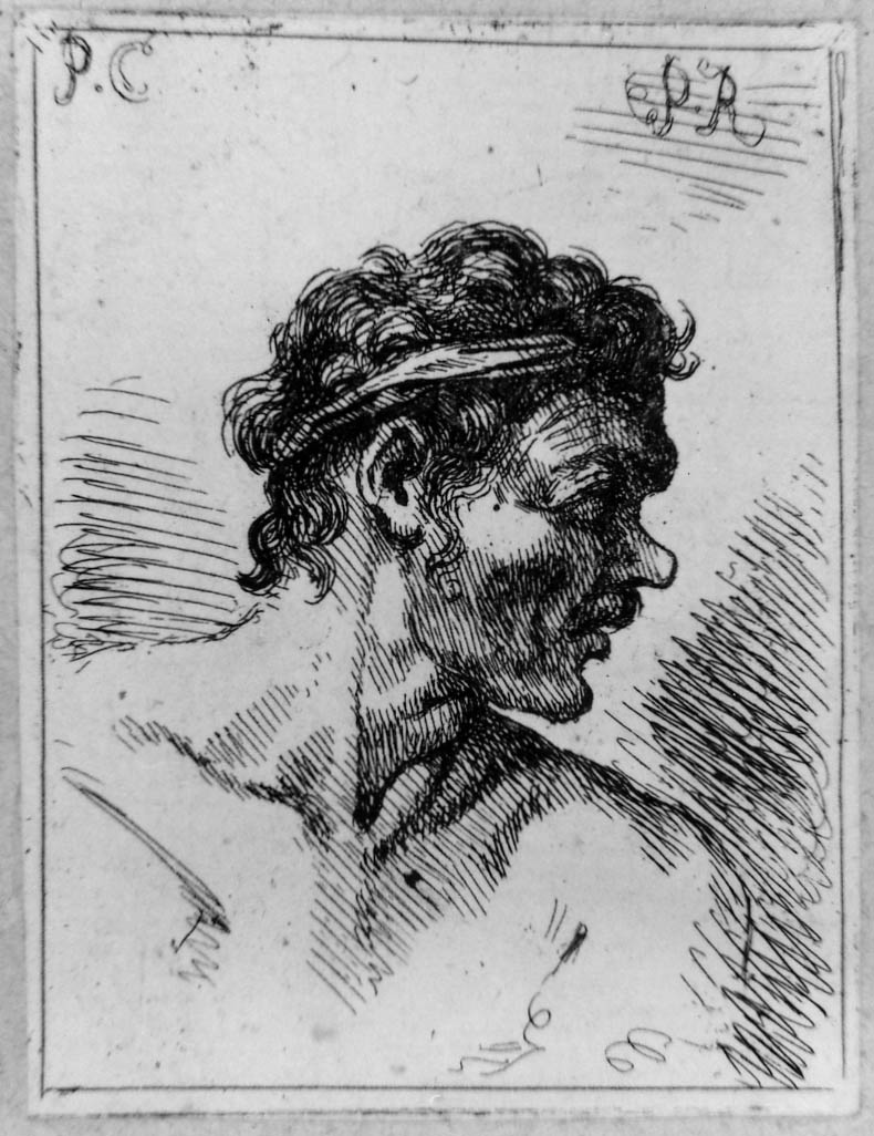 testa d'uomo di profilo (stampa smarginata) di Veronese Paolo (?), Rotari Pietro Antonio (sec. XVIII)