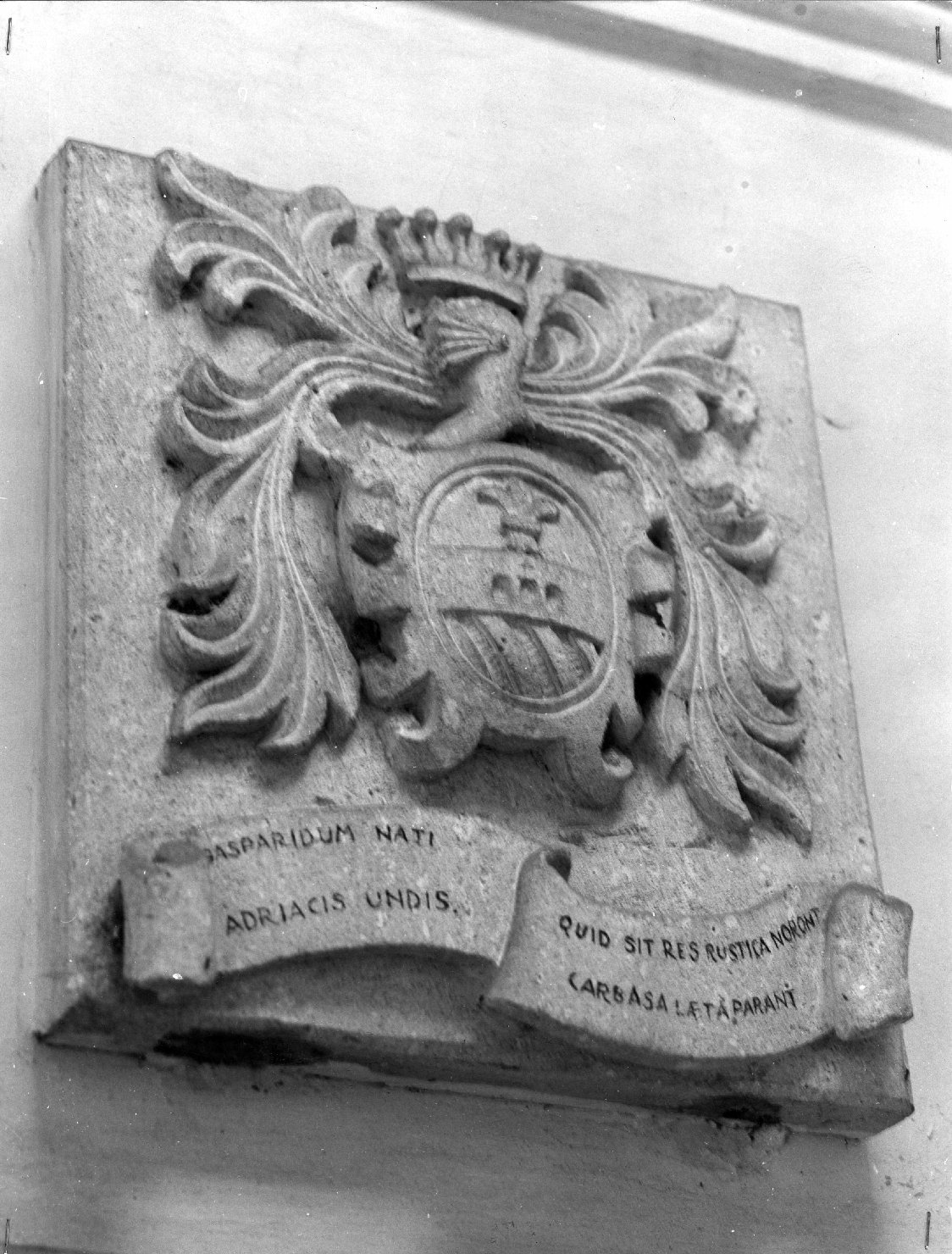 Stemma della famiglia Vaccari, stemma (scultura) - bottega veronese (sec. XIX)