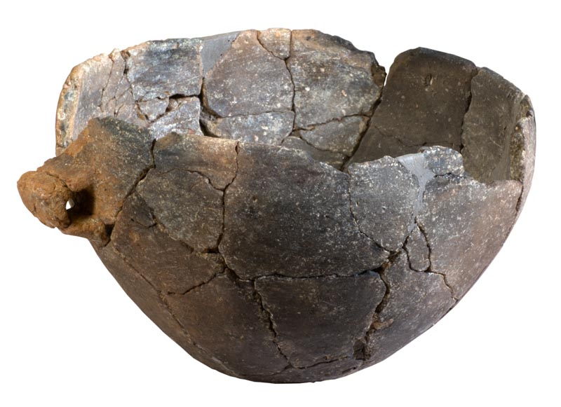 Scodella ansata