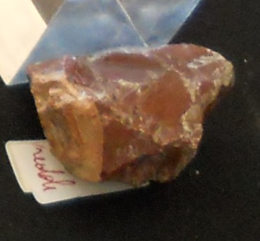 Nucleo