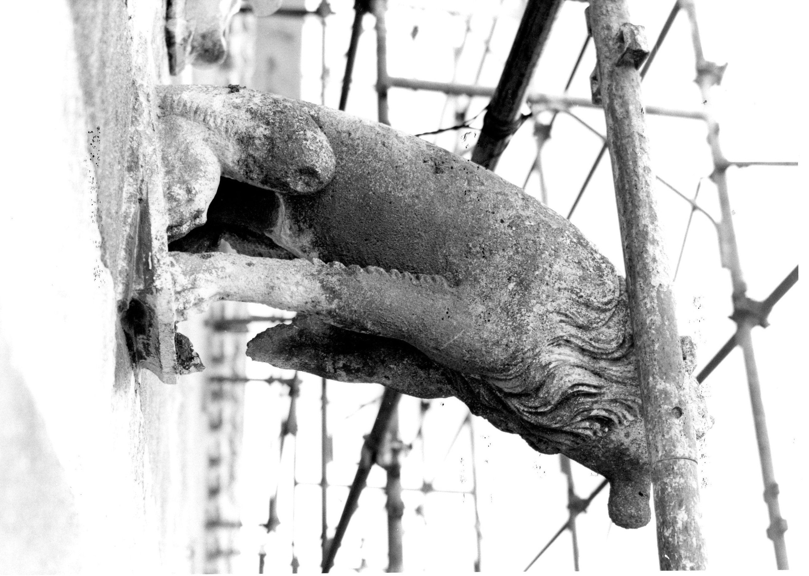 leone (doccione, opera isolata) - ambito orvietano (sec. XIV)