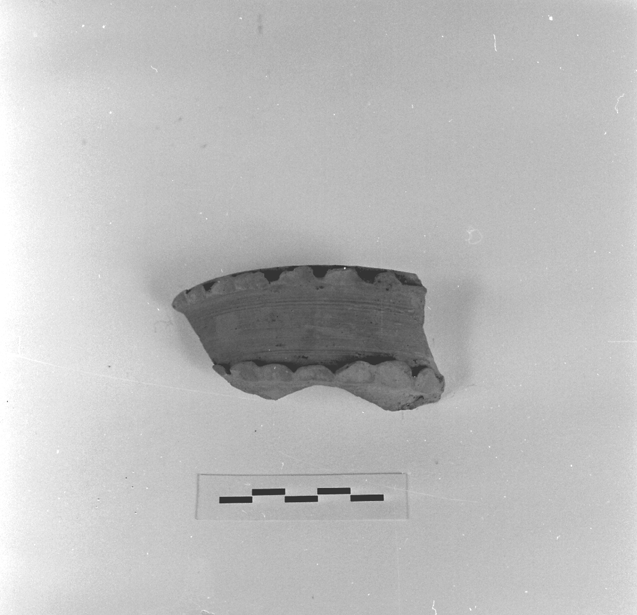 coppa su alto piede, Vegas 64 (secc. I - II d.C)