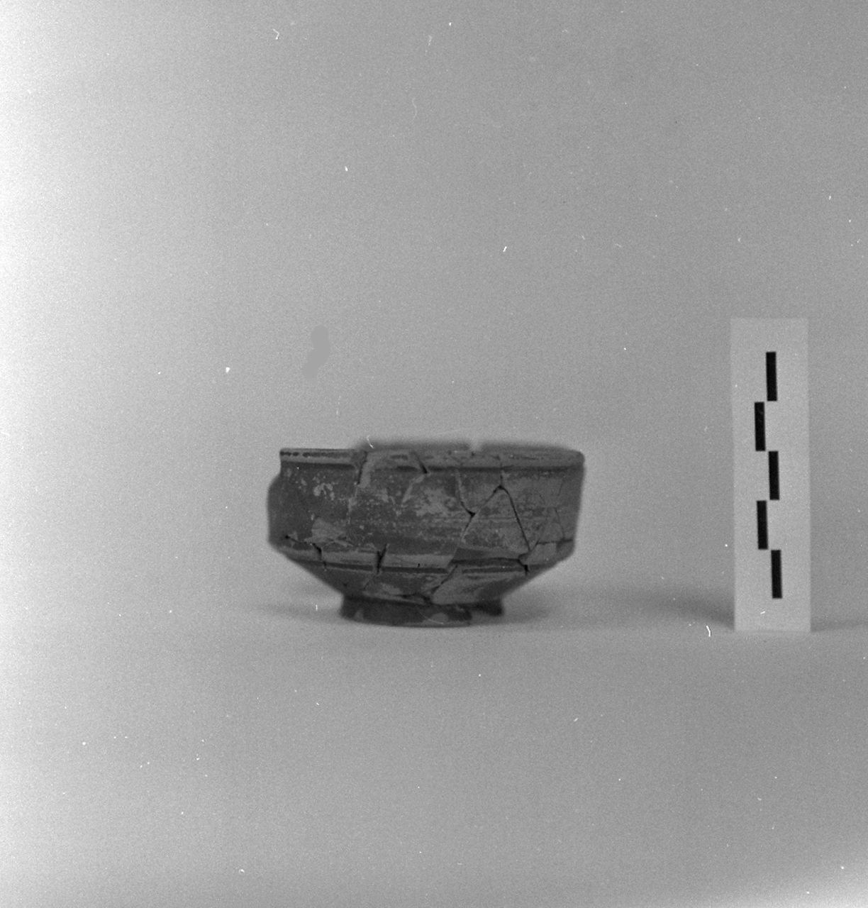 coppa, Ritterling 9 (prima metà sec. I d.C)