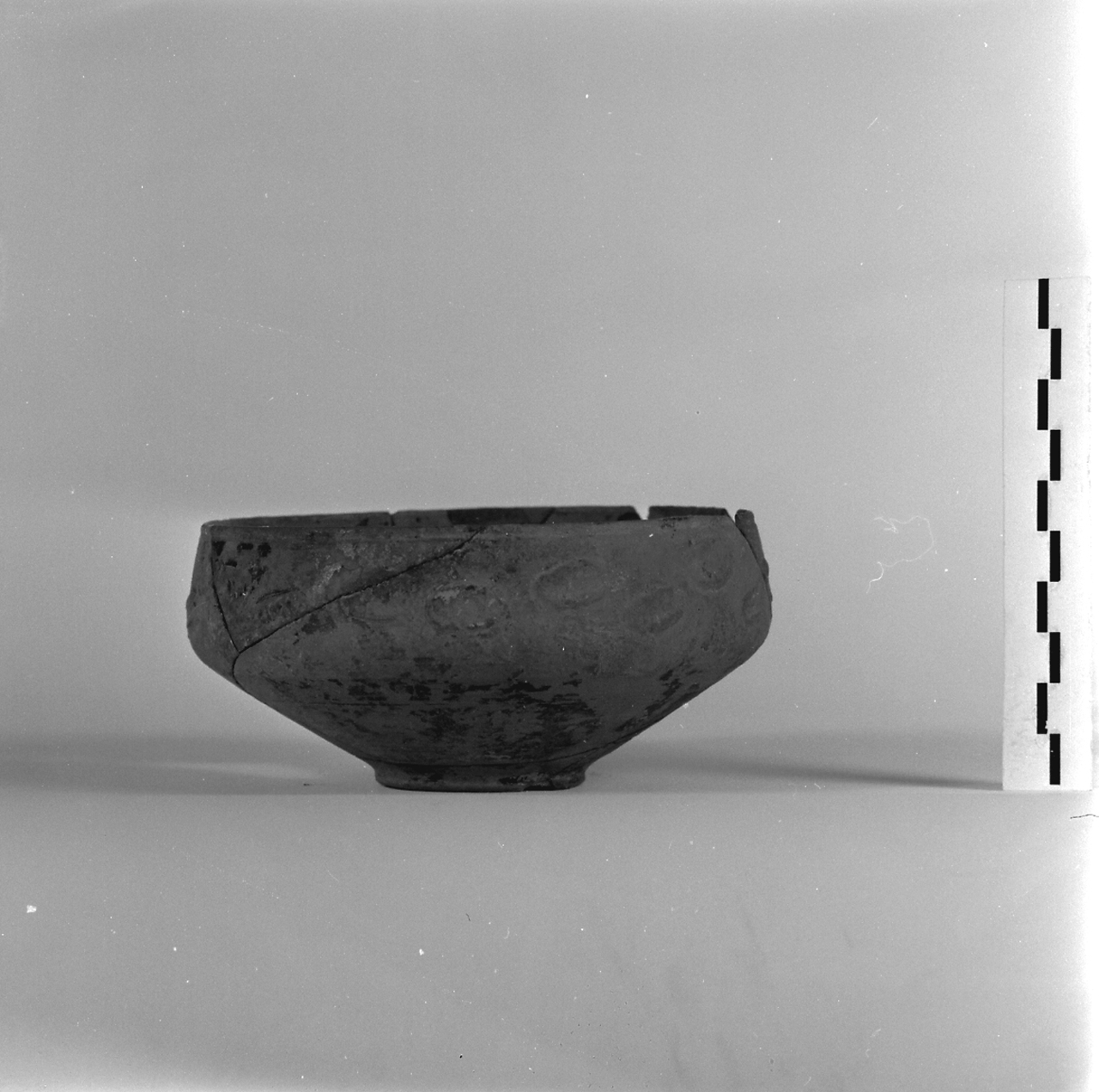 coppa, Marabini XXXVI (inizio/ metà sec. I d.C)