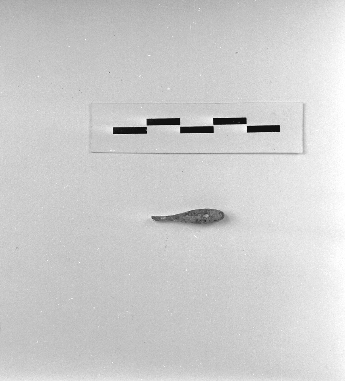 spatola (sec. I d.C)