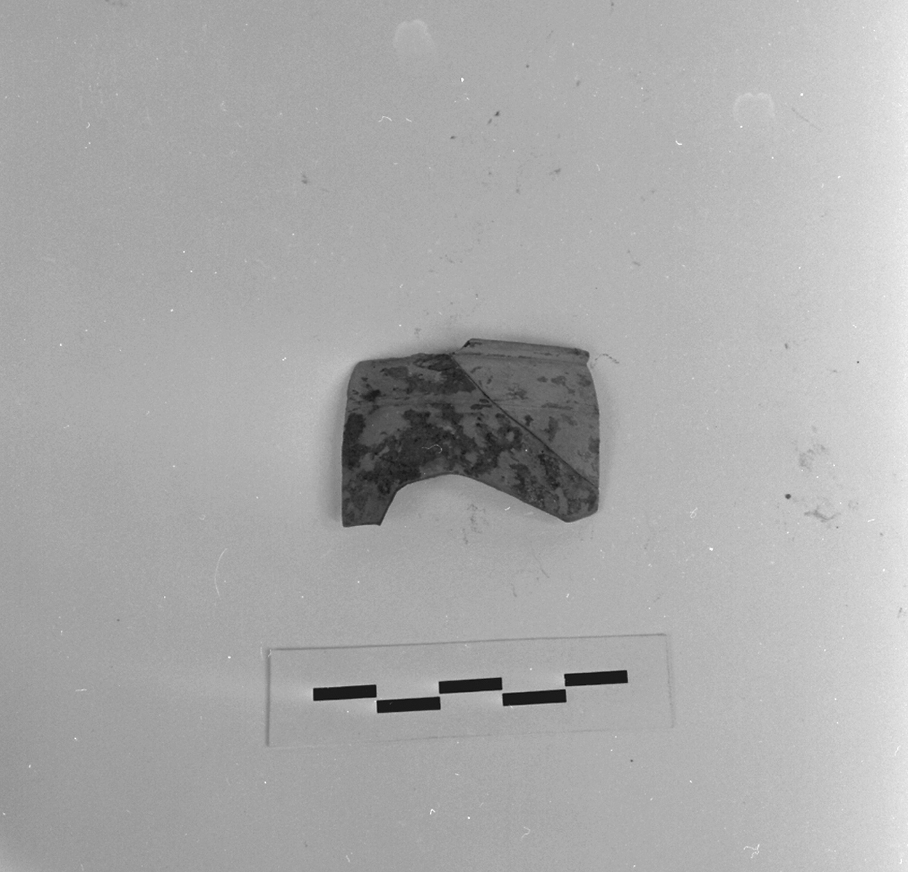 bicchiere, Marabini VIII (sec. I d.C)