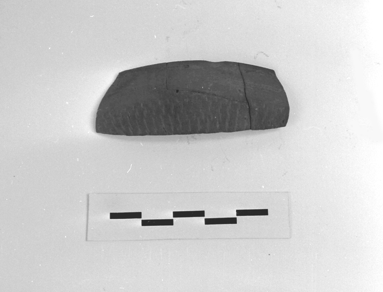 coppa, Marabini XXXVI (sec. I d.C)