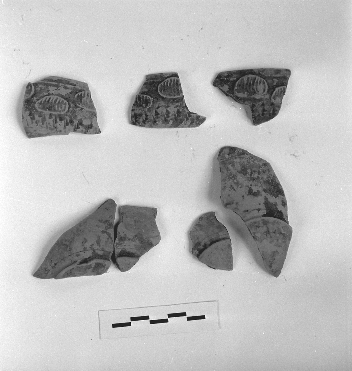 coppa, Marabini XXXVI (inizio/ metà sec. I d.C)