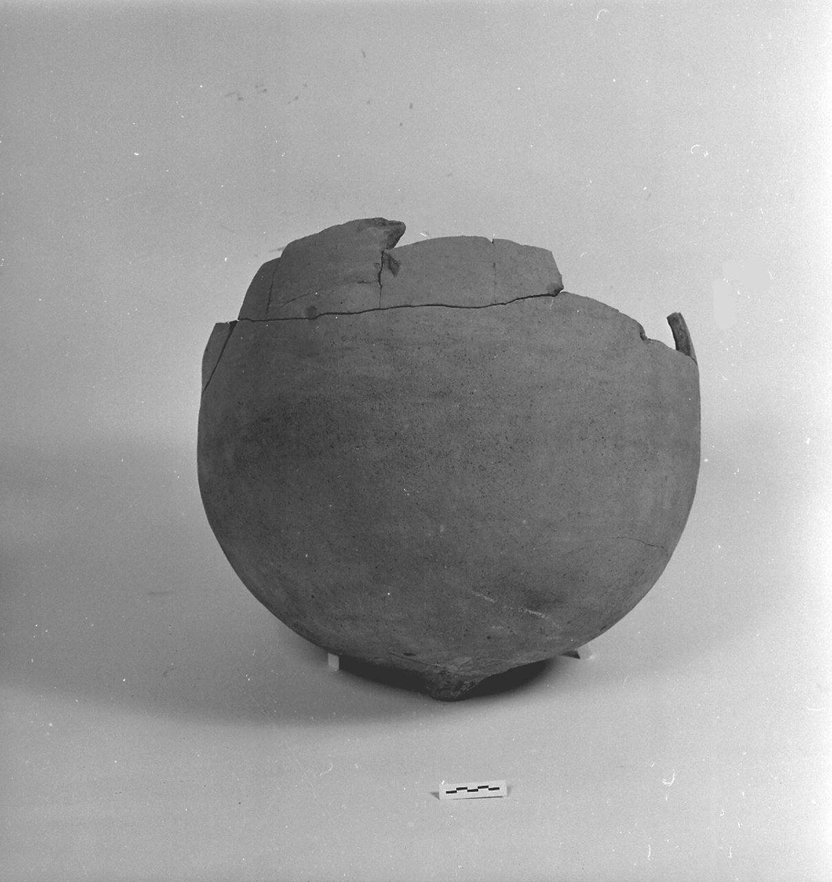 anfora, Dressel 20 (metà/ fine secc. I - II d.C)