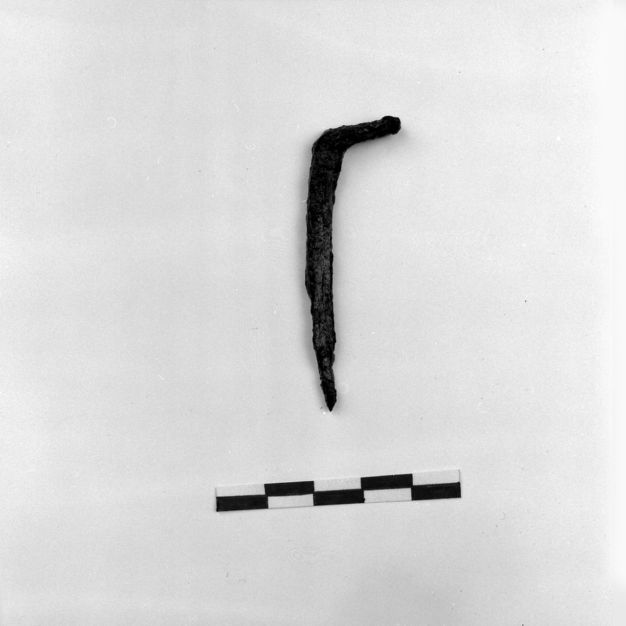 chiodo rampino (secc. VI/ VII)