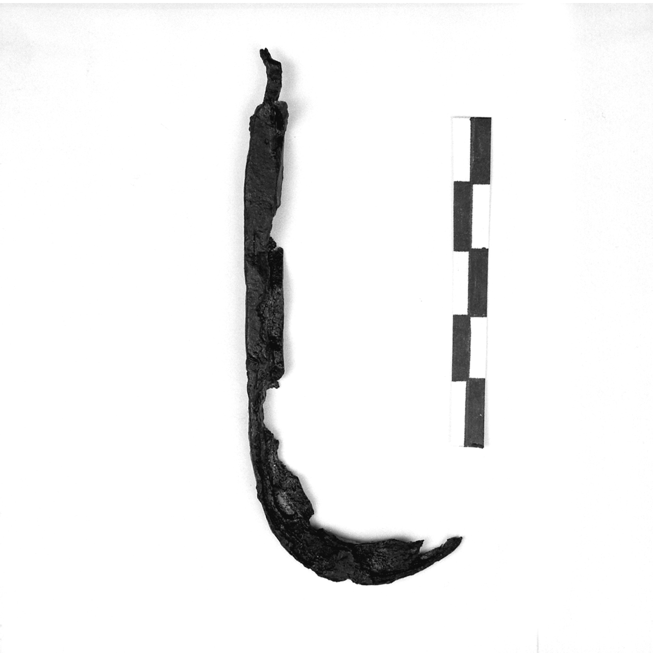 uncino (secc. VI/ VII)