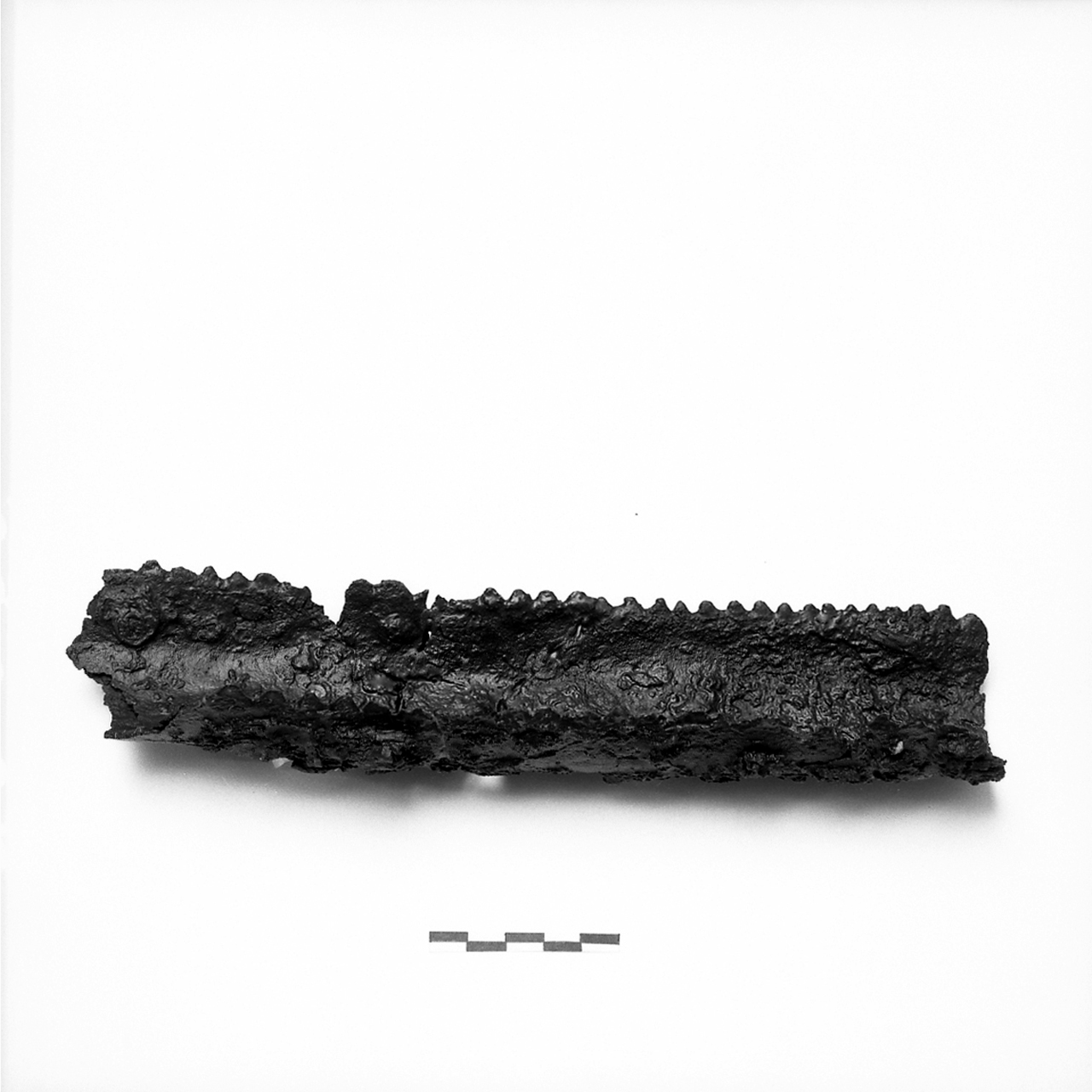 strumento (secc. VI/ VII)