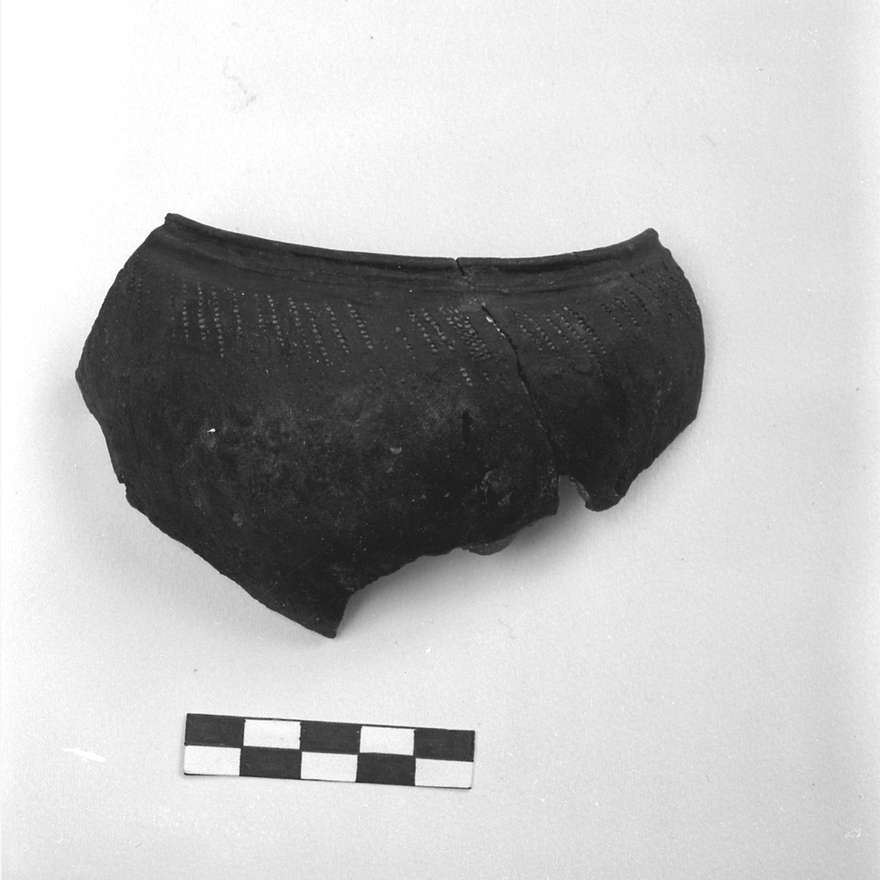 olla (secc. III/ IV)