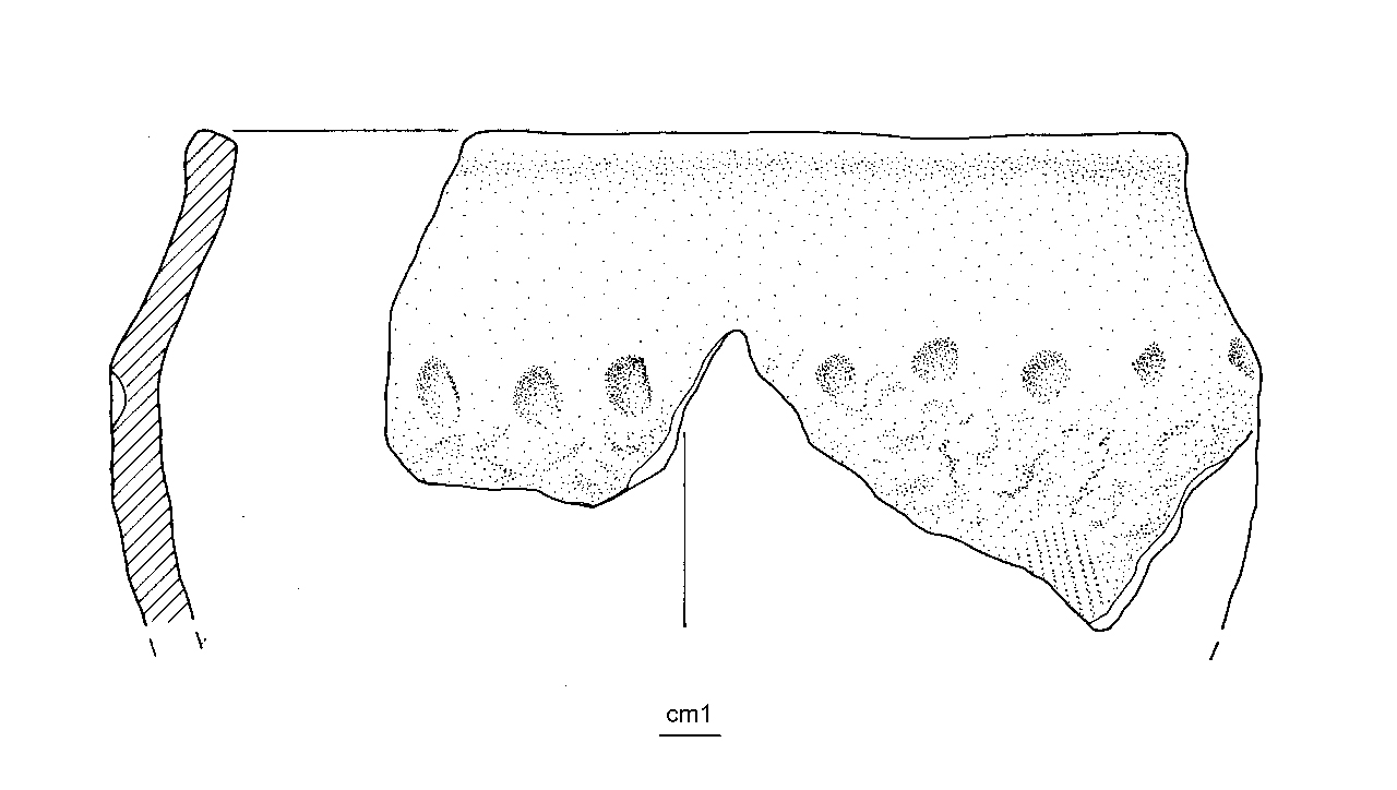 vaso situliforme - cultura ligure dell'età del Ferro (media età del Ferro)