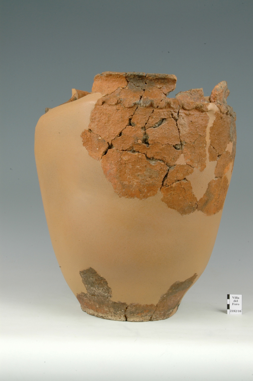 grande vaso ovoide - cultura ligure dell'età del Ferro (Eta' del ferro)