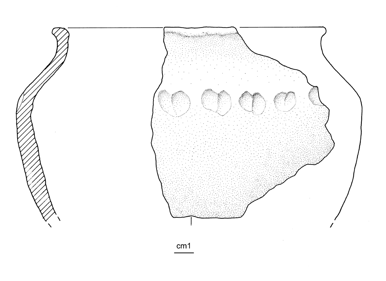 vaso situliforme - cultura ligure dell'età del Ferro (media età del Ferro)