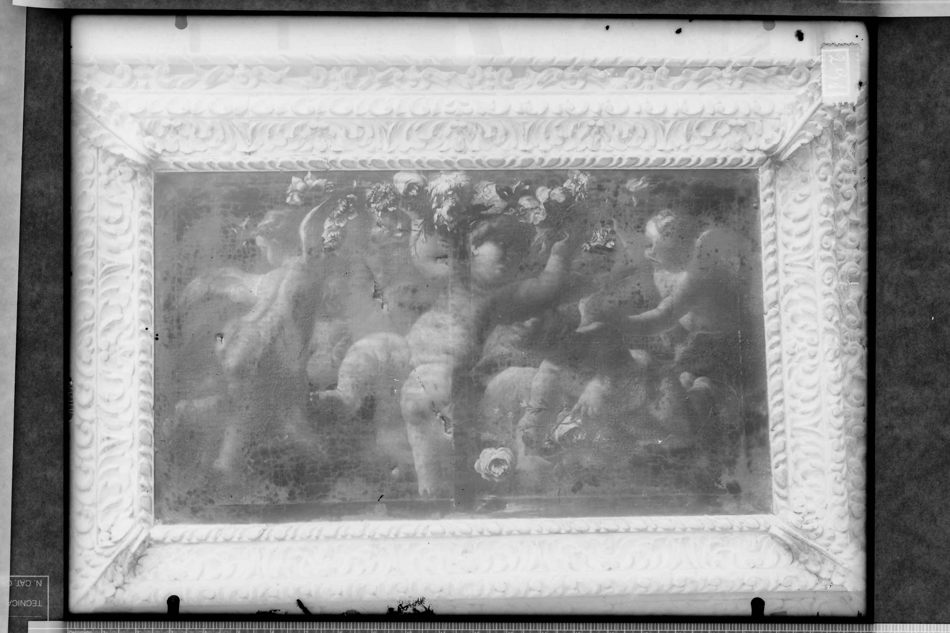 Bari- Basilica di S. Nicola (negativo) di Villani (secondo quarto XX)