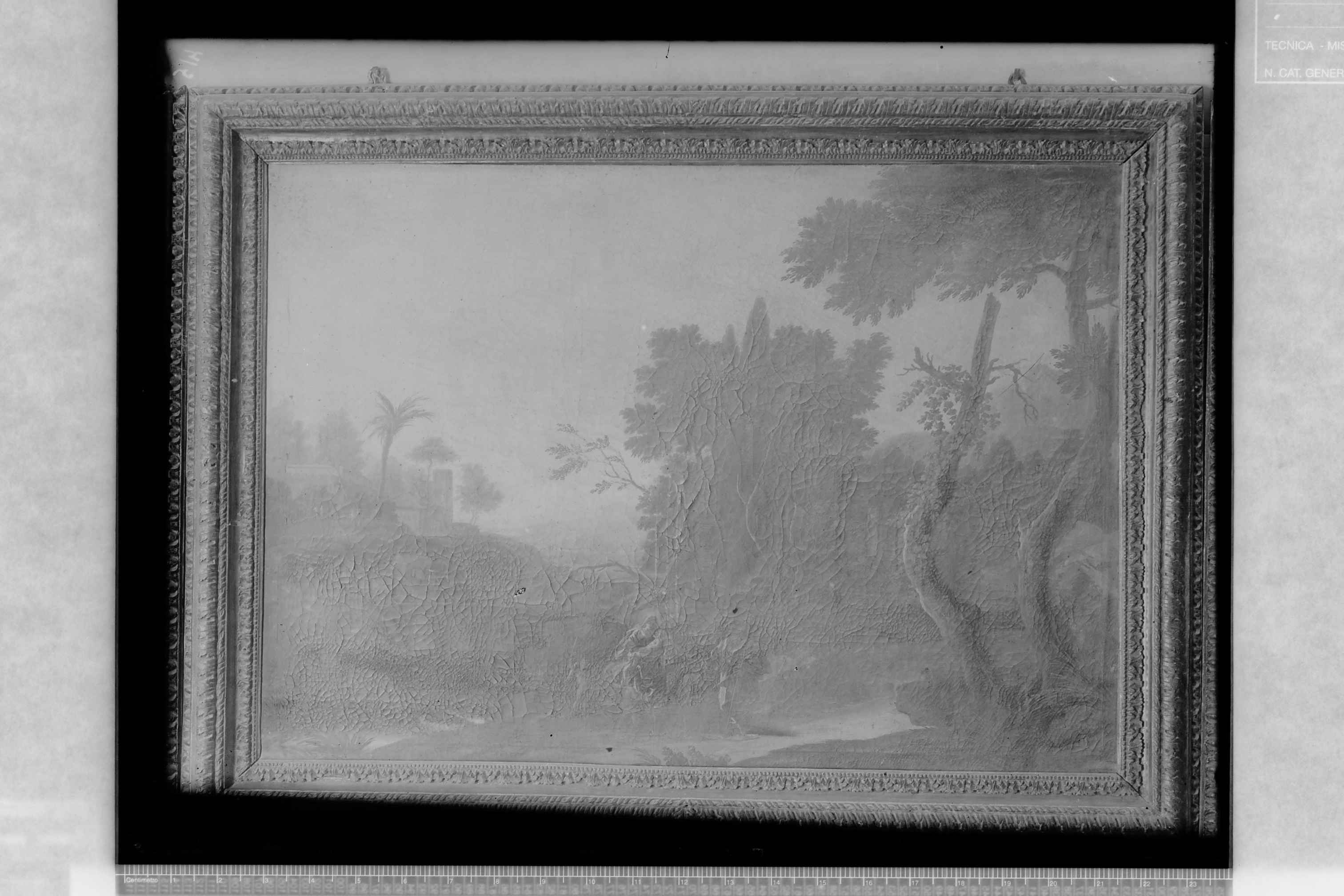 Andria (BA)- Santuario di Santa Maria dei Miracoli (negativo) di Malgherini (secondo quarto XX)