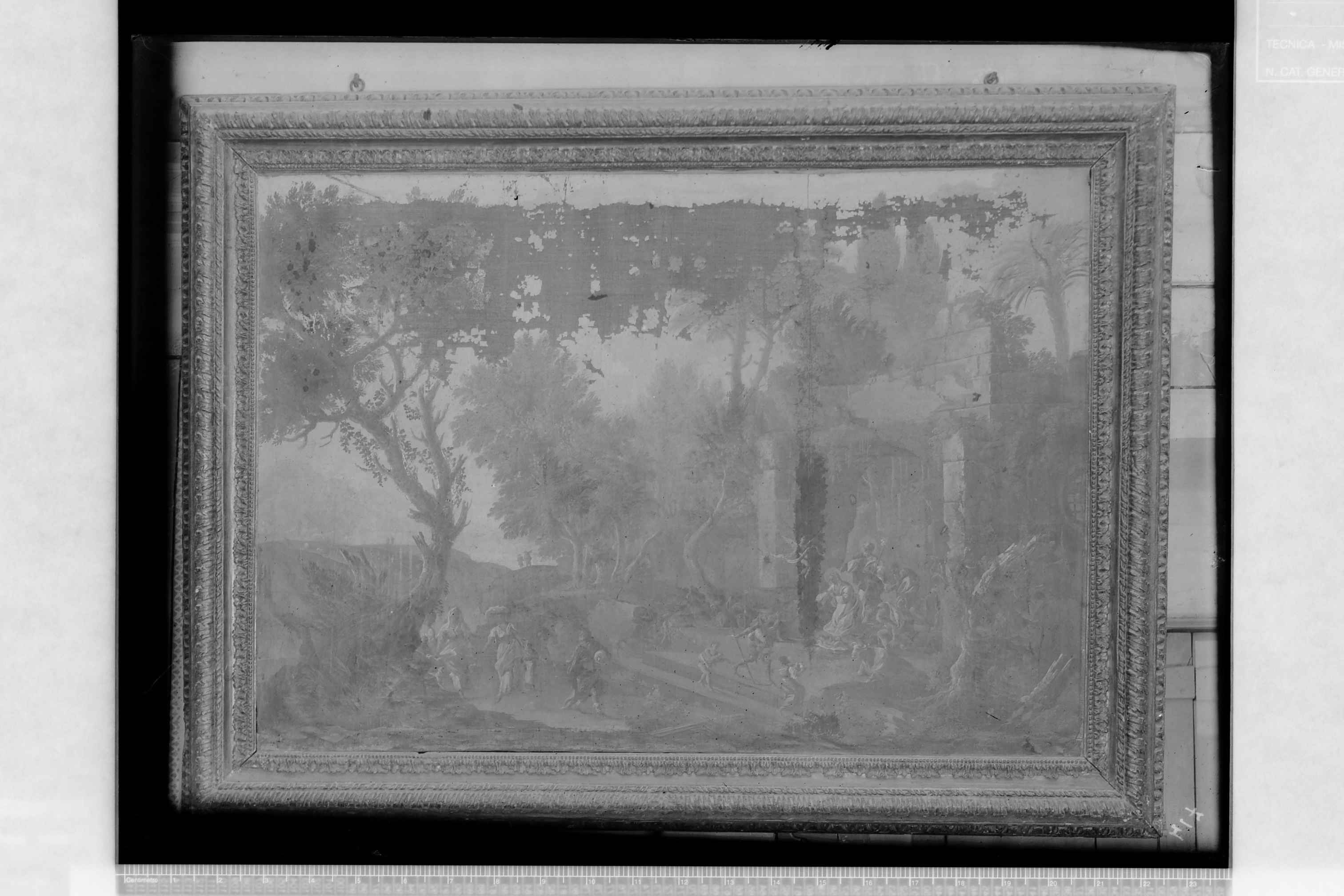 Andria (BA)- Santuario di Santa Maria dei Miracoli (negativo) di Malgherini (secondo quarto XX)