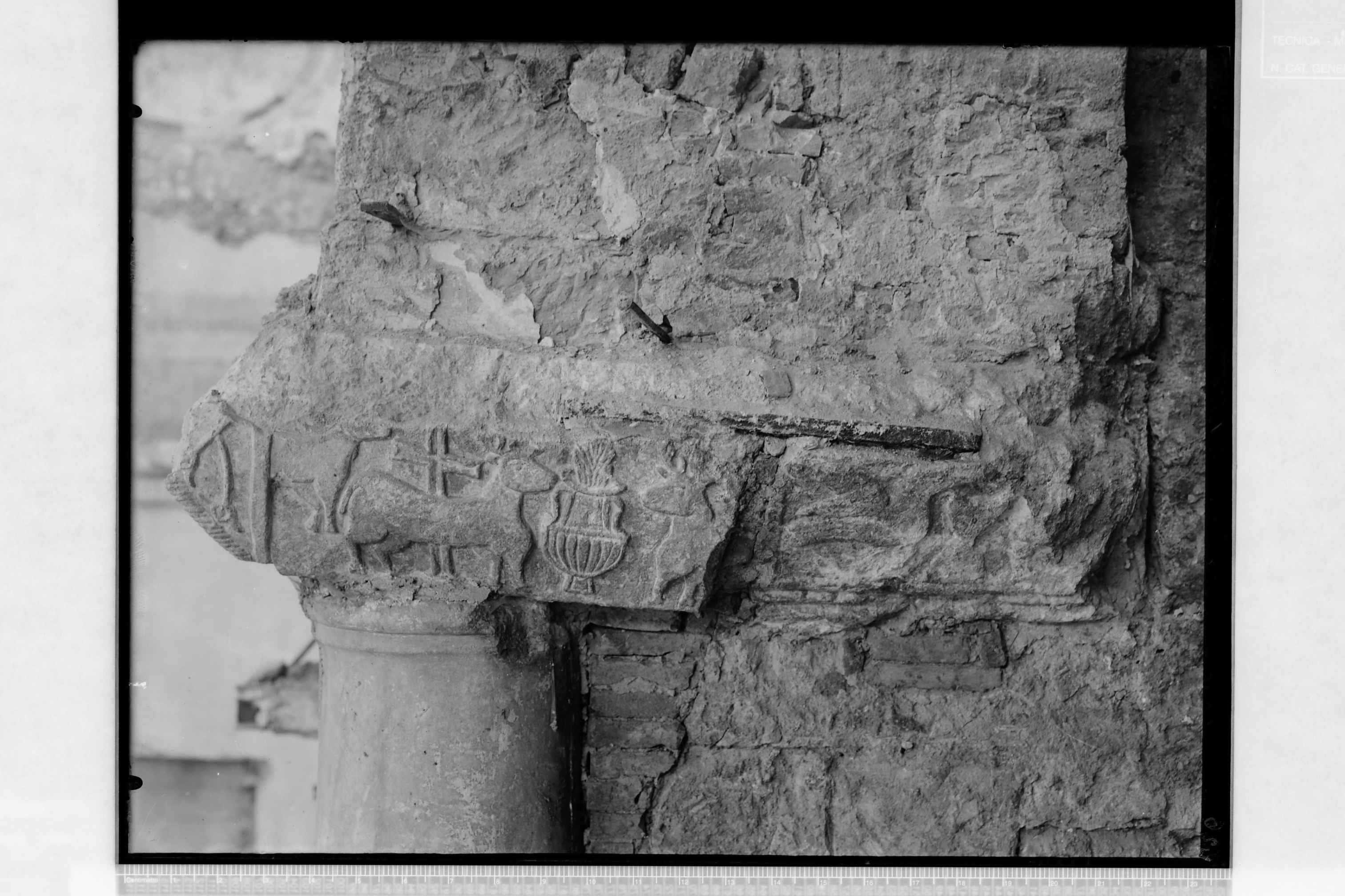 Bovino (FG) - Cattedrale (negativo) di Ceccato (secondo quarto XX)