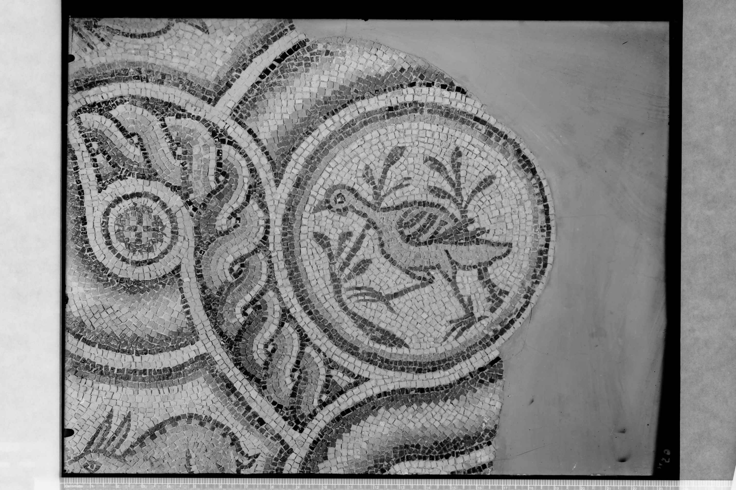 Casaranello (LE) - Chiesa di S. Maria della Croce (negativo) di Ceccato, A. (?) (secondo quarto XX)