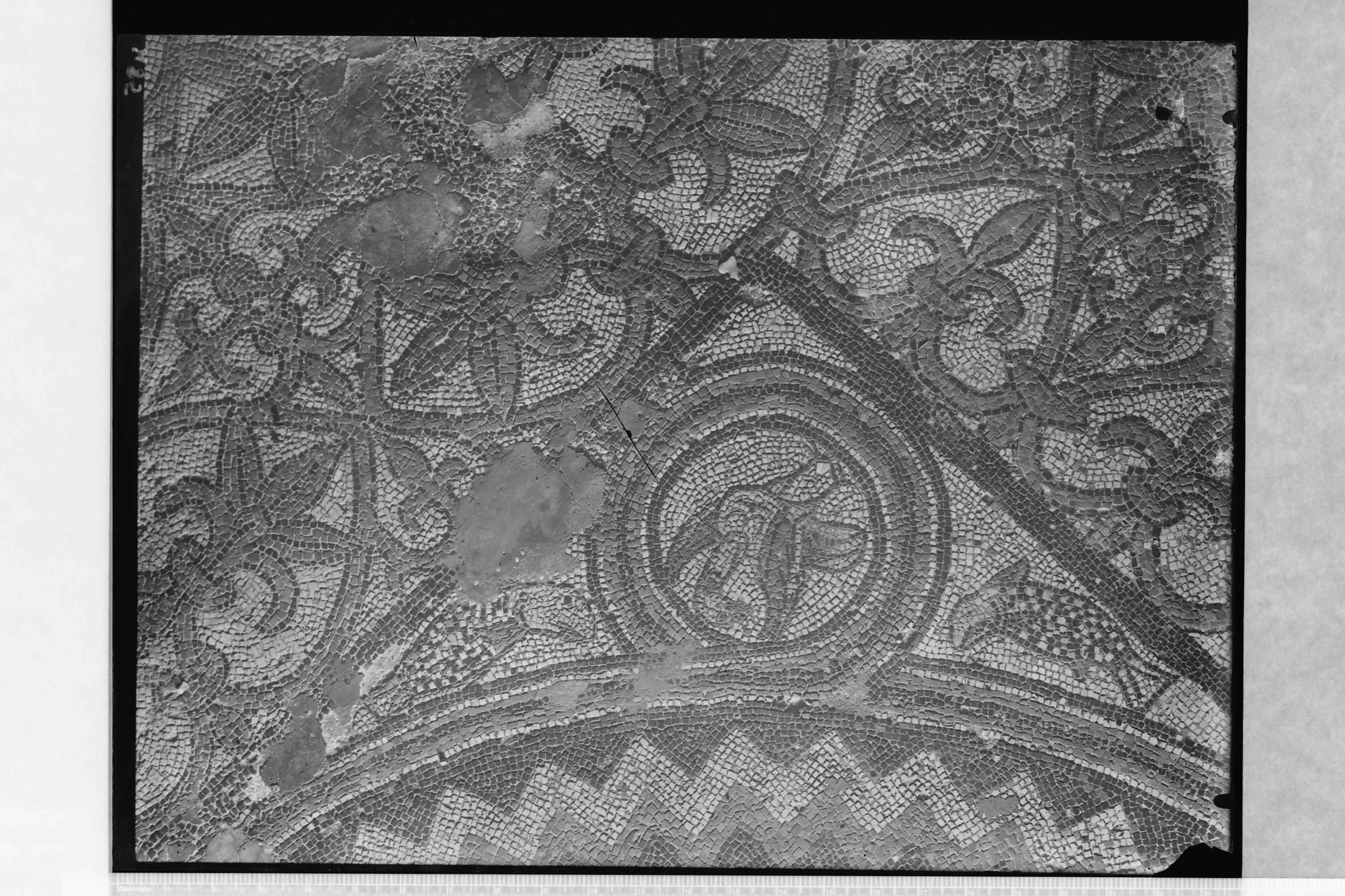 Tremiti Isole (FG) - S. Maria dell'Isola (negativo) di Ceccato (secondo quarto XX)