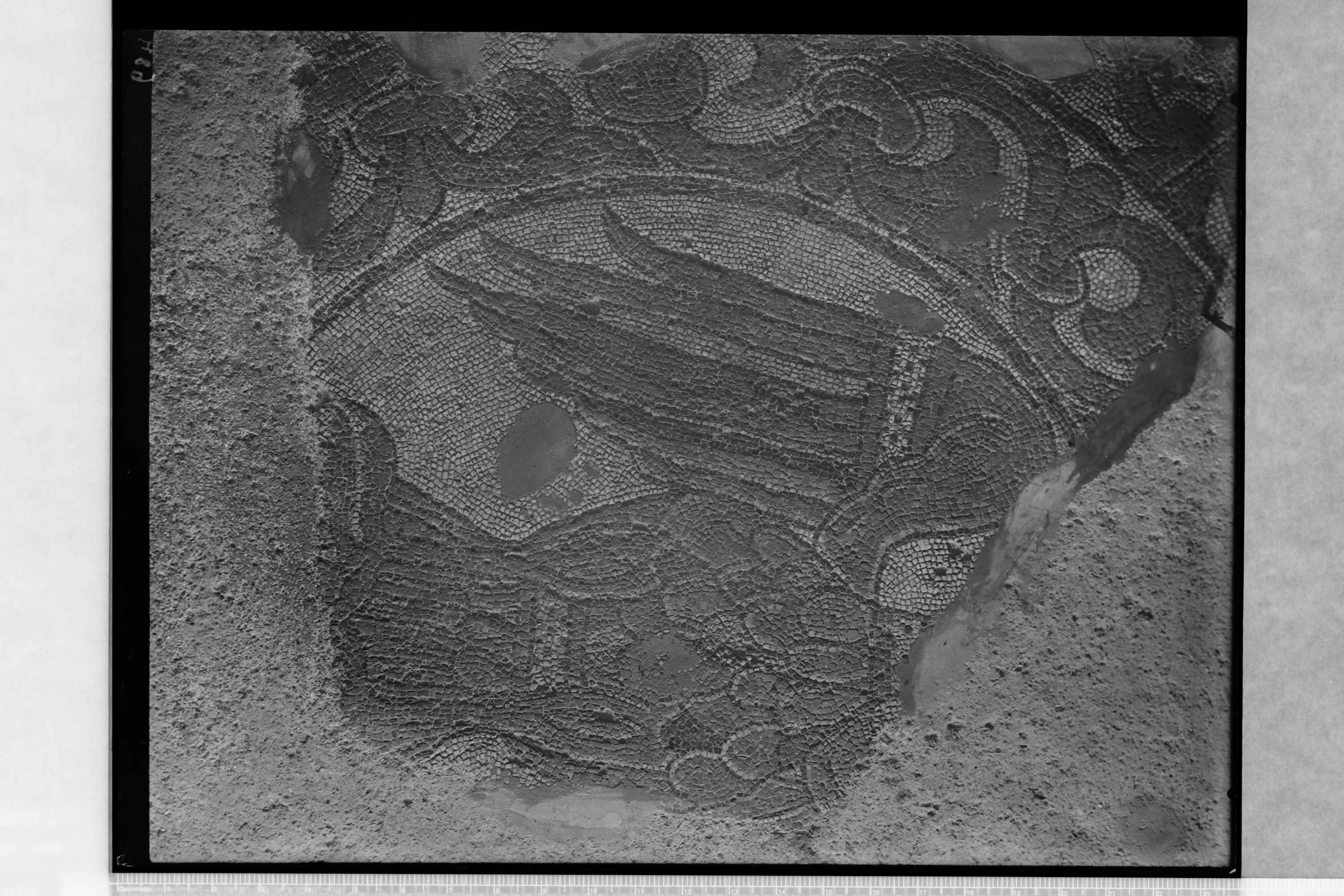 Tremiti Isole (FG) - Chiesa di S. Maria dei Miracoli (negativo) di Ceccato (secondo quarto XX)