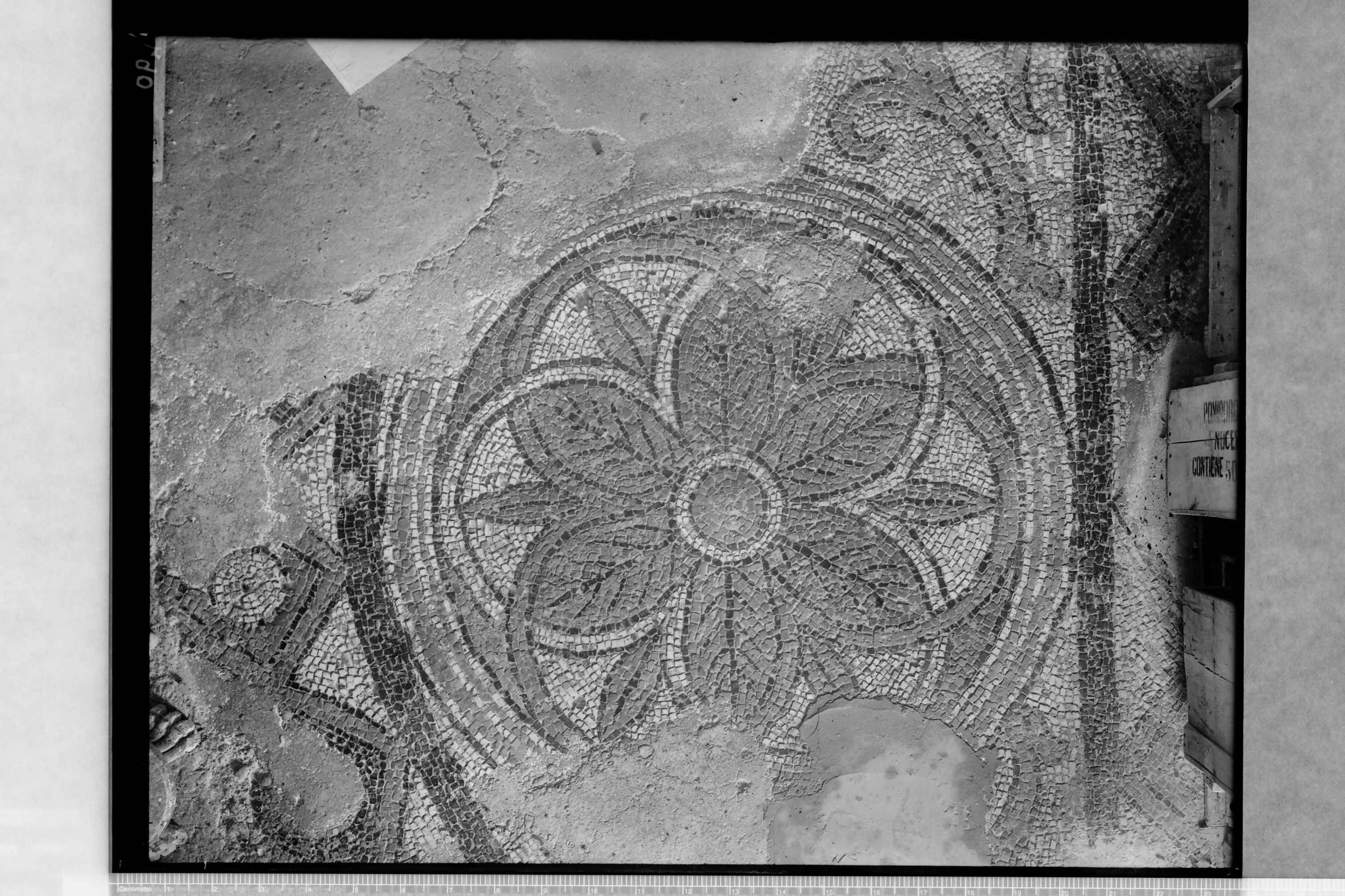 Tremiti Isole (FG) - Chiesa di S. Maria dei Miracoli (negativo) di Ceccato (secondo quarto XX)