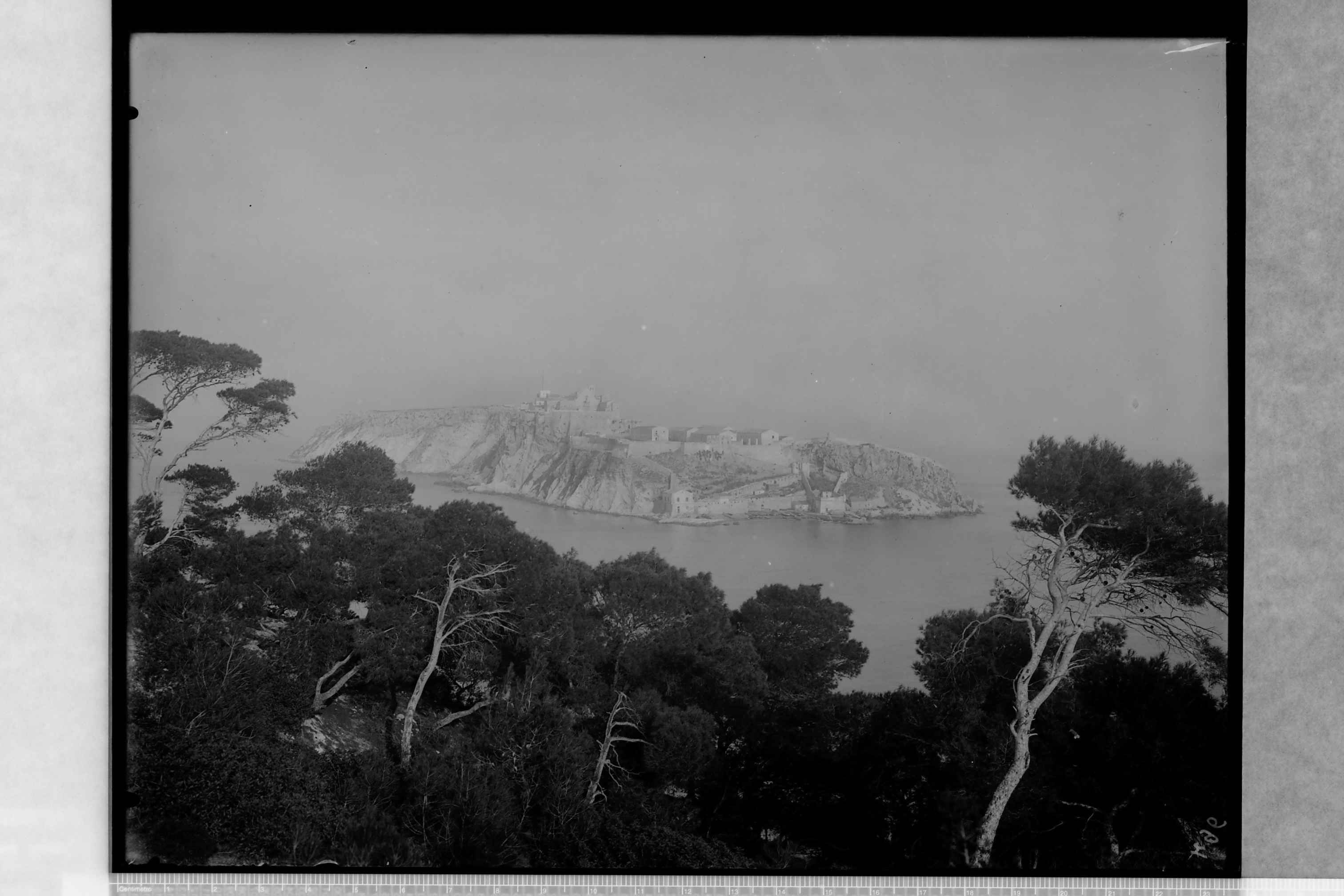 Tremiti Isole (FG) - Isola di S. Nicola (negativo) di Ceccato (XX)