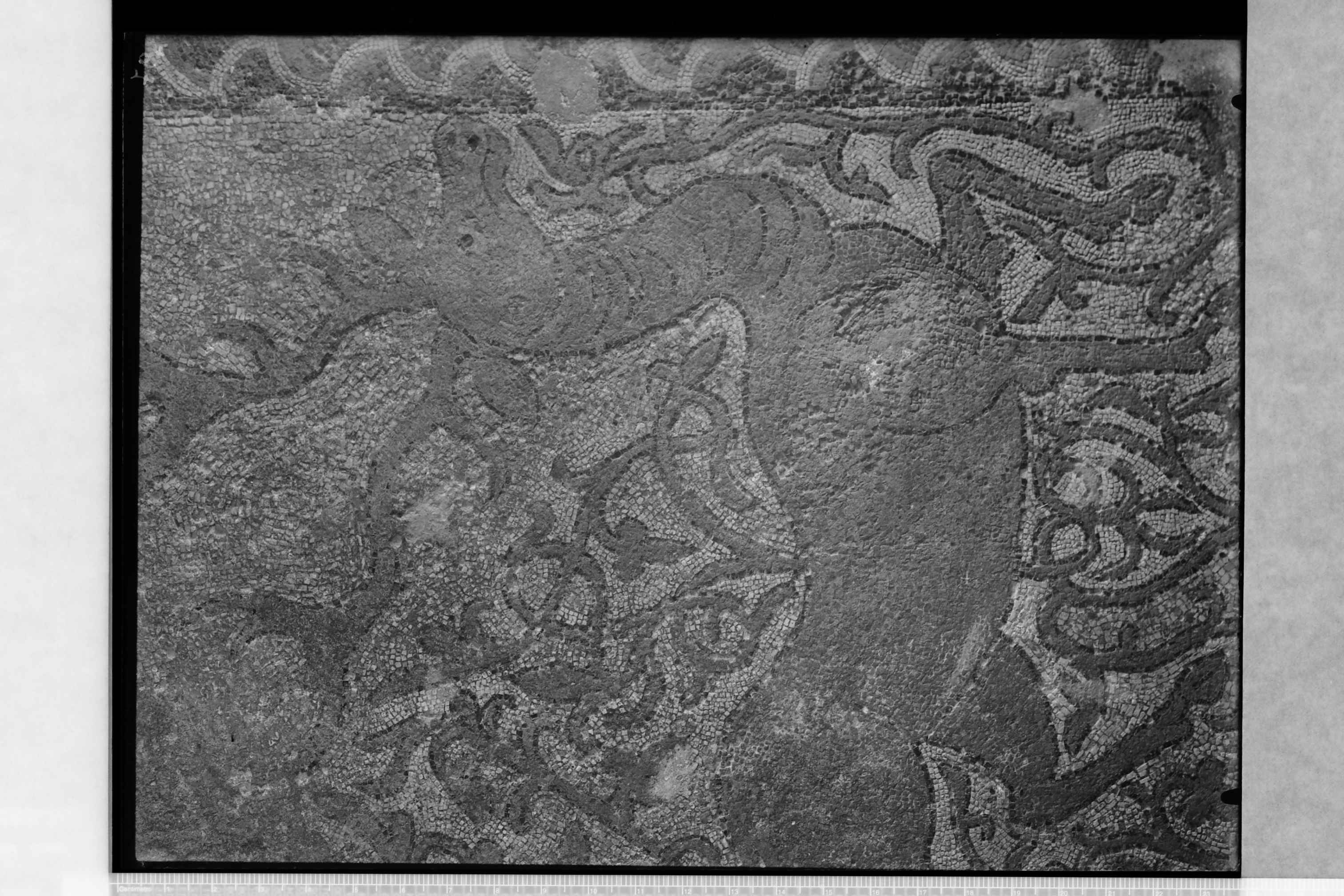 Tremiti Isole (FG) - Chiesa di S. Maria dei Miracoli (negativo) di Ceccato (secondo quarto XX)