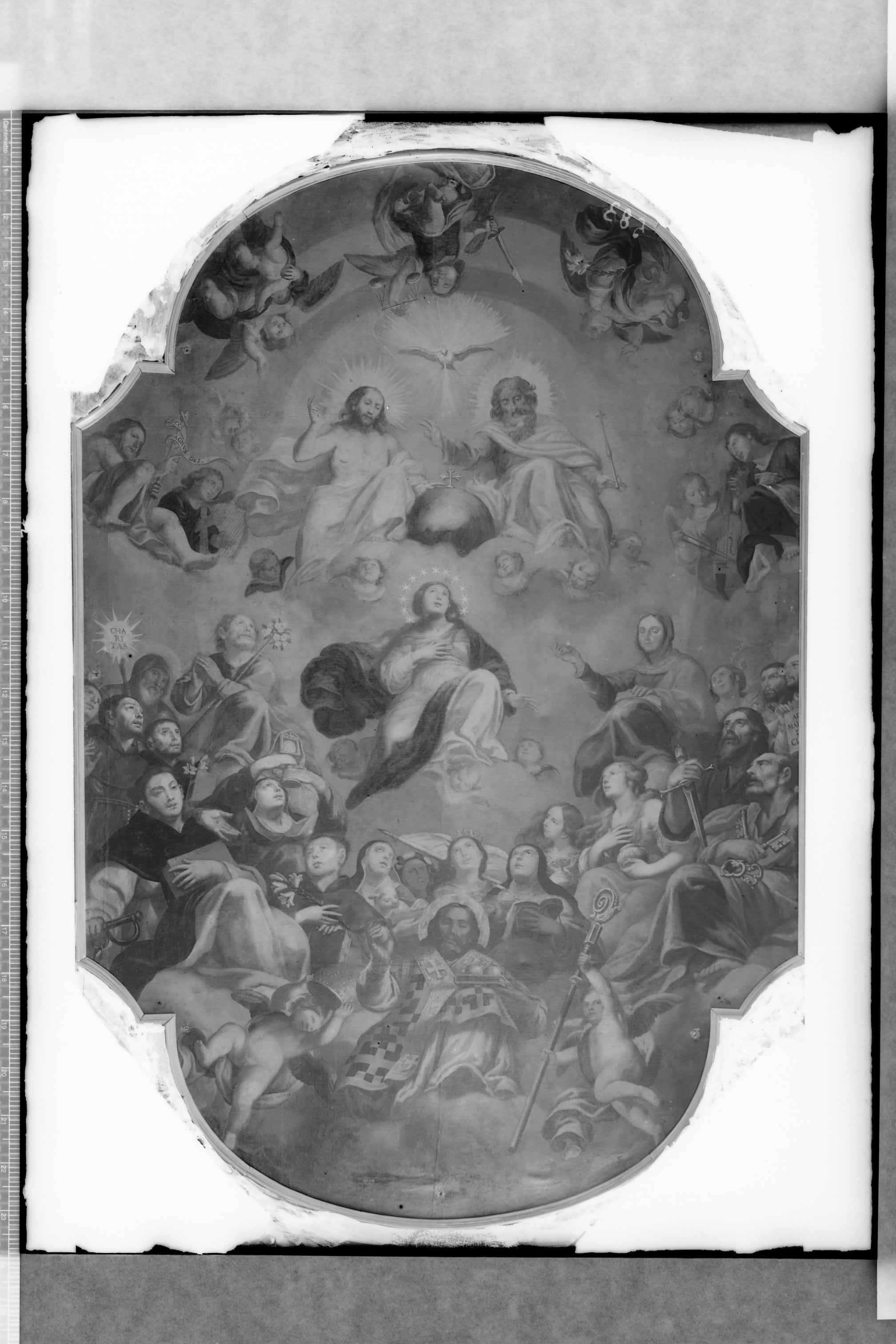 Bari - Chiesa di S. Chiara (negativo) di Russo, C. A (secondo quarto XX)