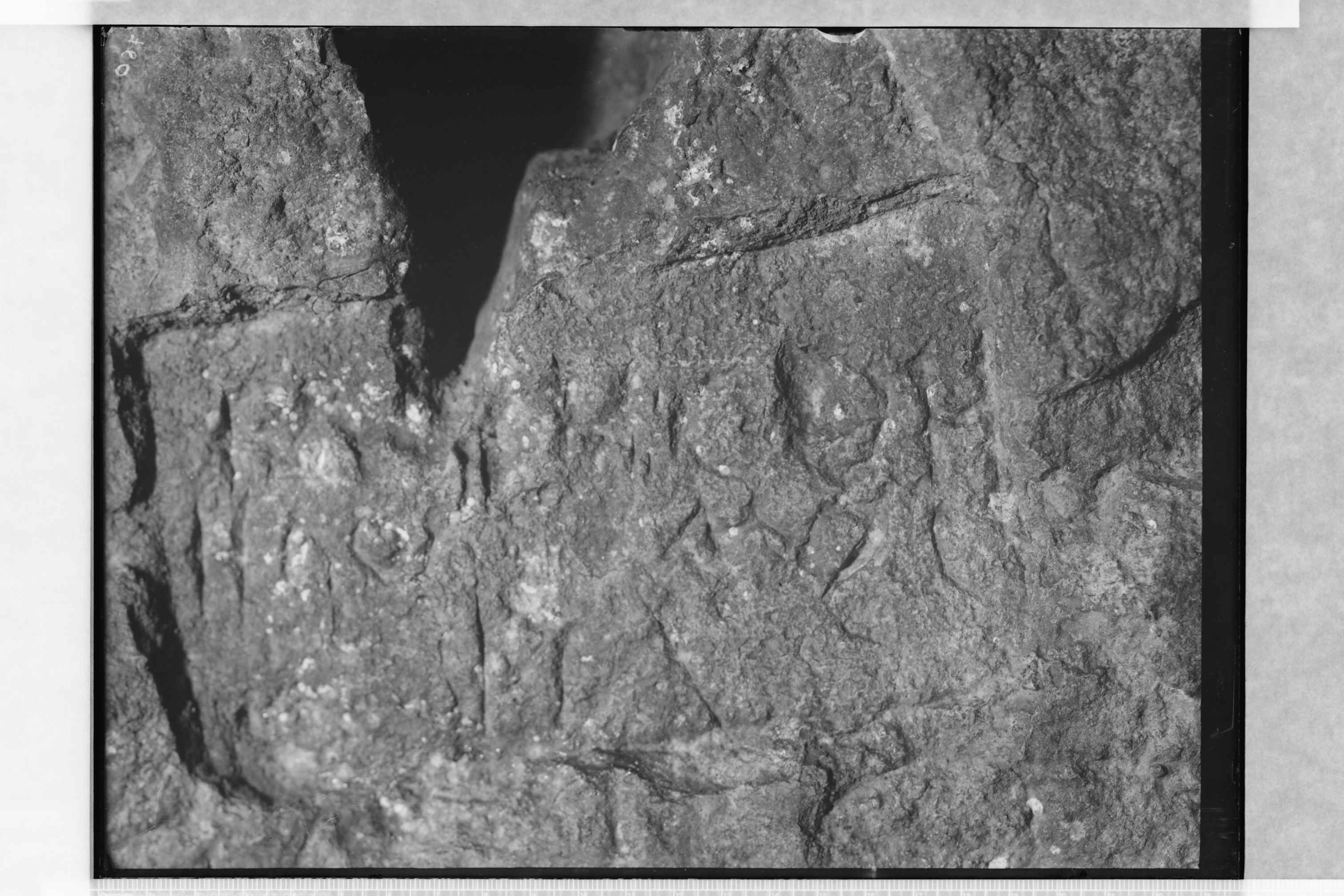 Capo di Leuca (LE)- Grotta della Porcinara (negativo) di Ceccato, A (secondo quarto XX)