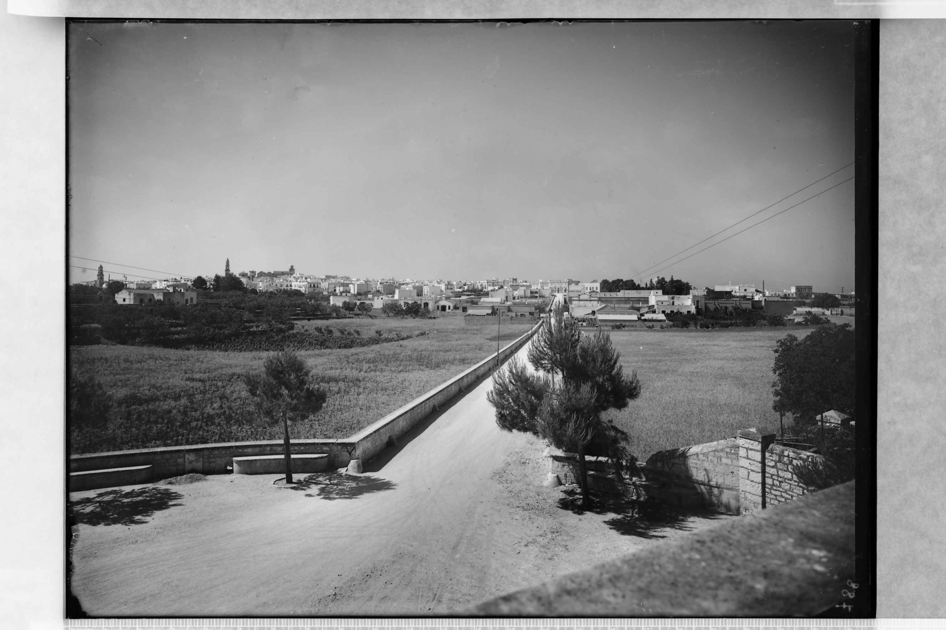 Putignano (BA) - Veduta panoramica (negativo) di Ceccato, A (secondo quarto XX)