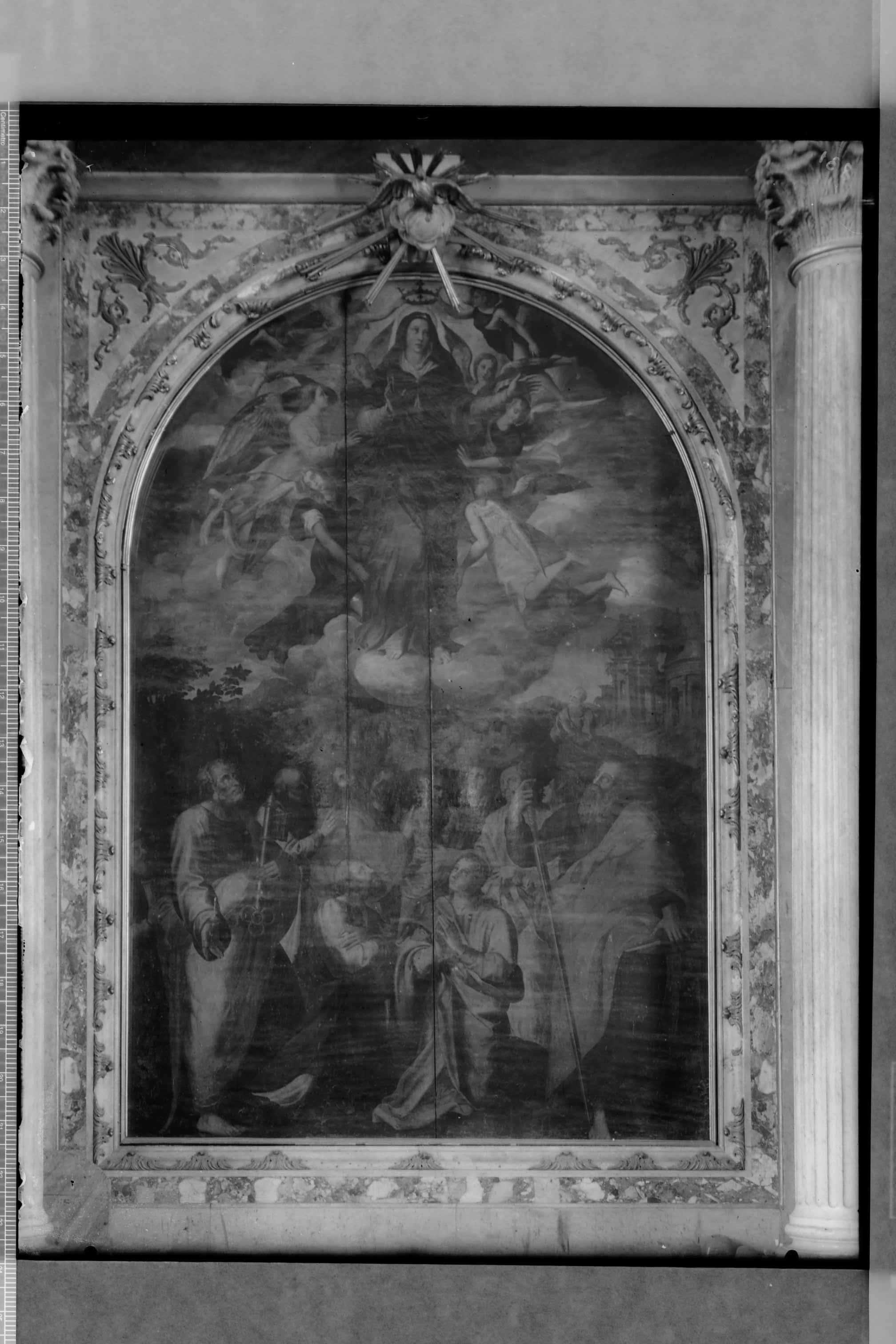 Altamura (BA) - Cattedrale (negativo) di Ceccato, A (secondo quarto XX)