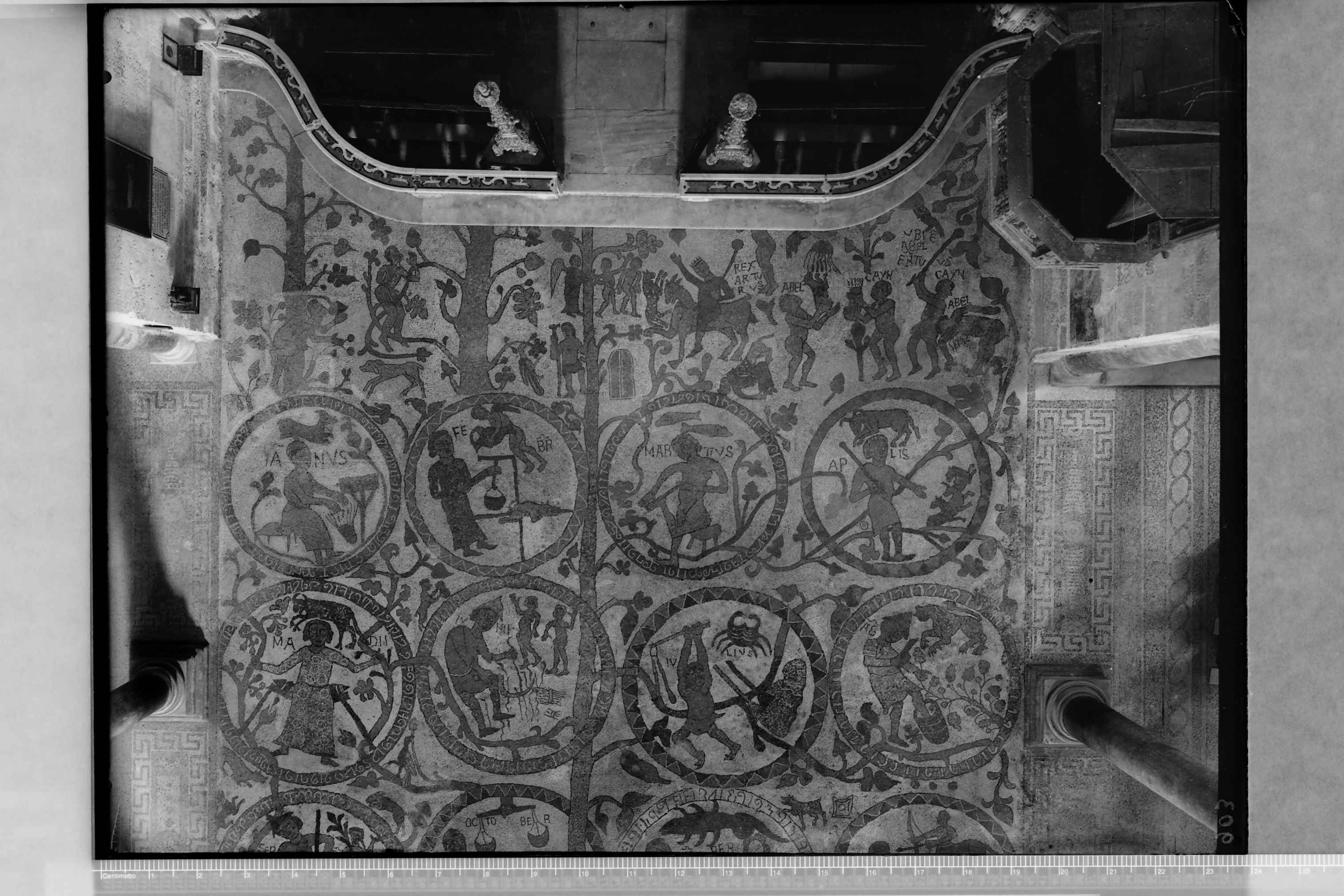 Otranto (LE) - Cattedrale (negativo) di Anonimo (secondo quarto XX)