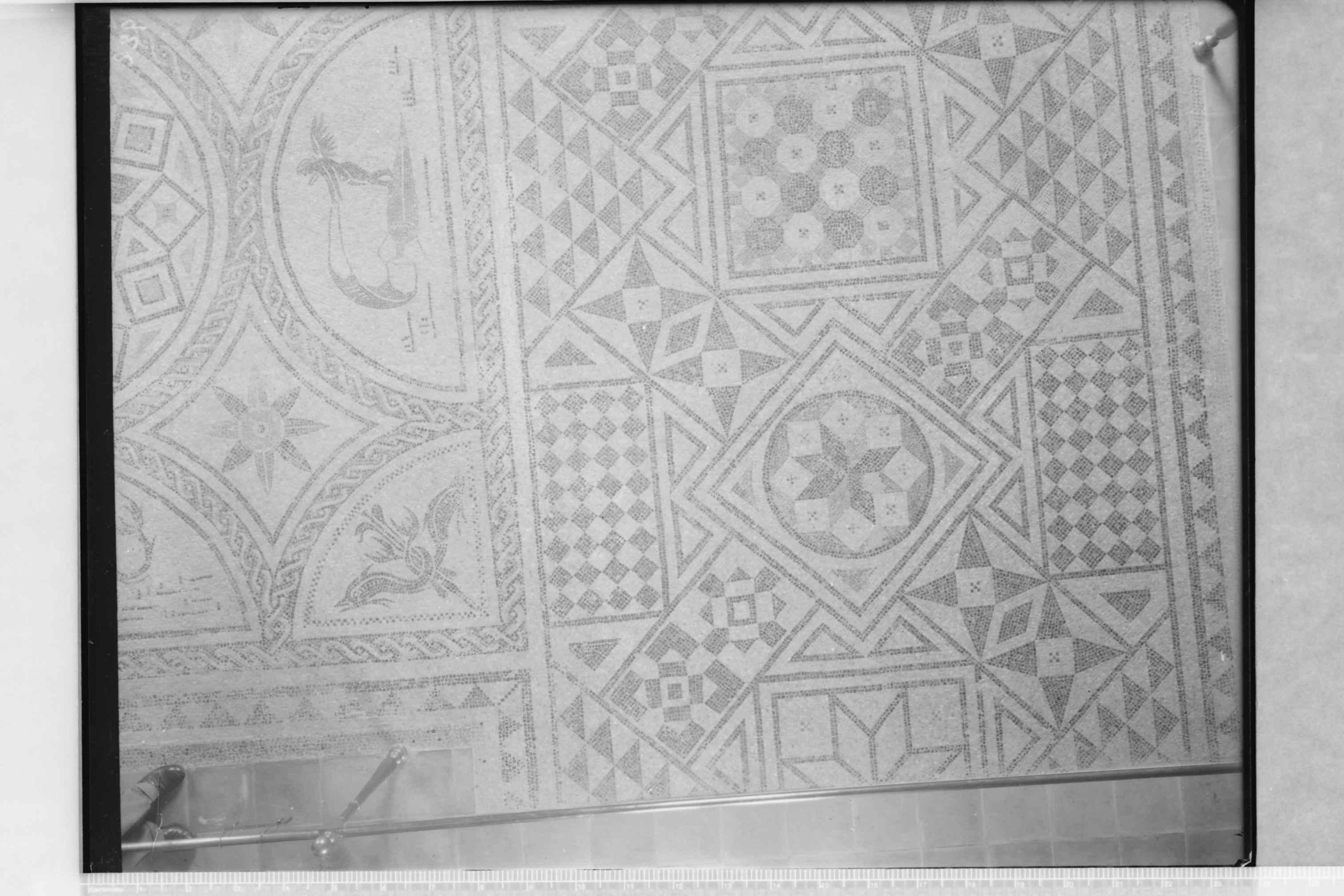 Lucera (FG) - Museo civico (negativo) di Ceccato, A (secondo quarto XX)