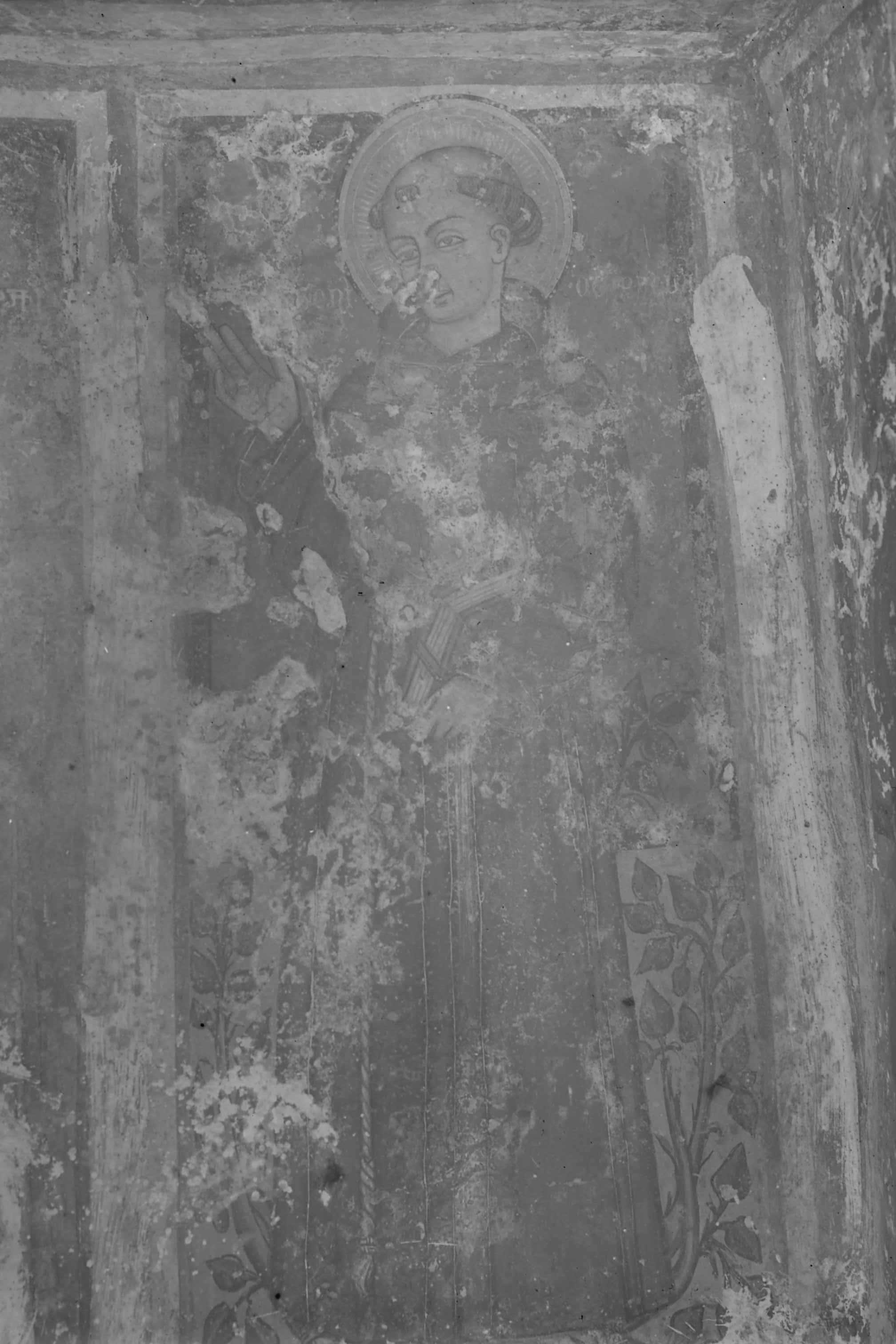 VEGLIE (LE) - Cripta della Favana (negativo) di Ceccato, A (secondo quarto XX)