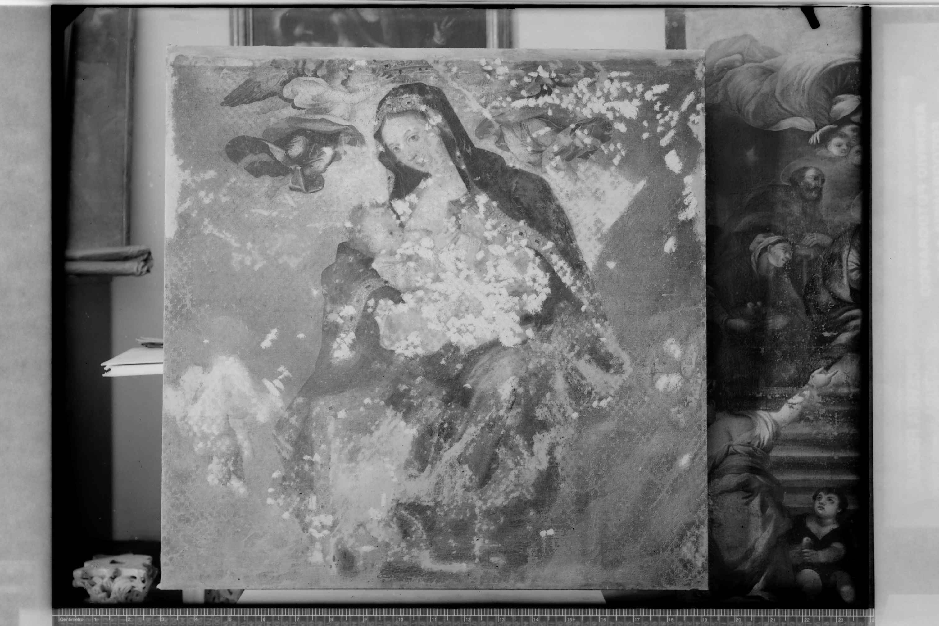 Bitonto (BA) - Cattedrale (negativo) di Croce, Umberto (terzo quarto XX)