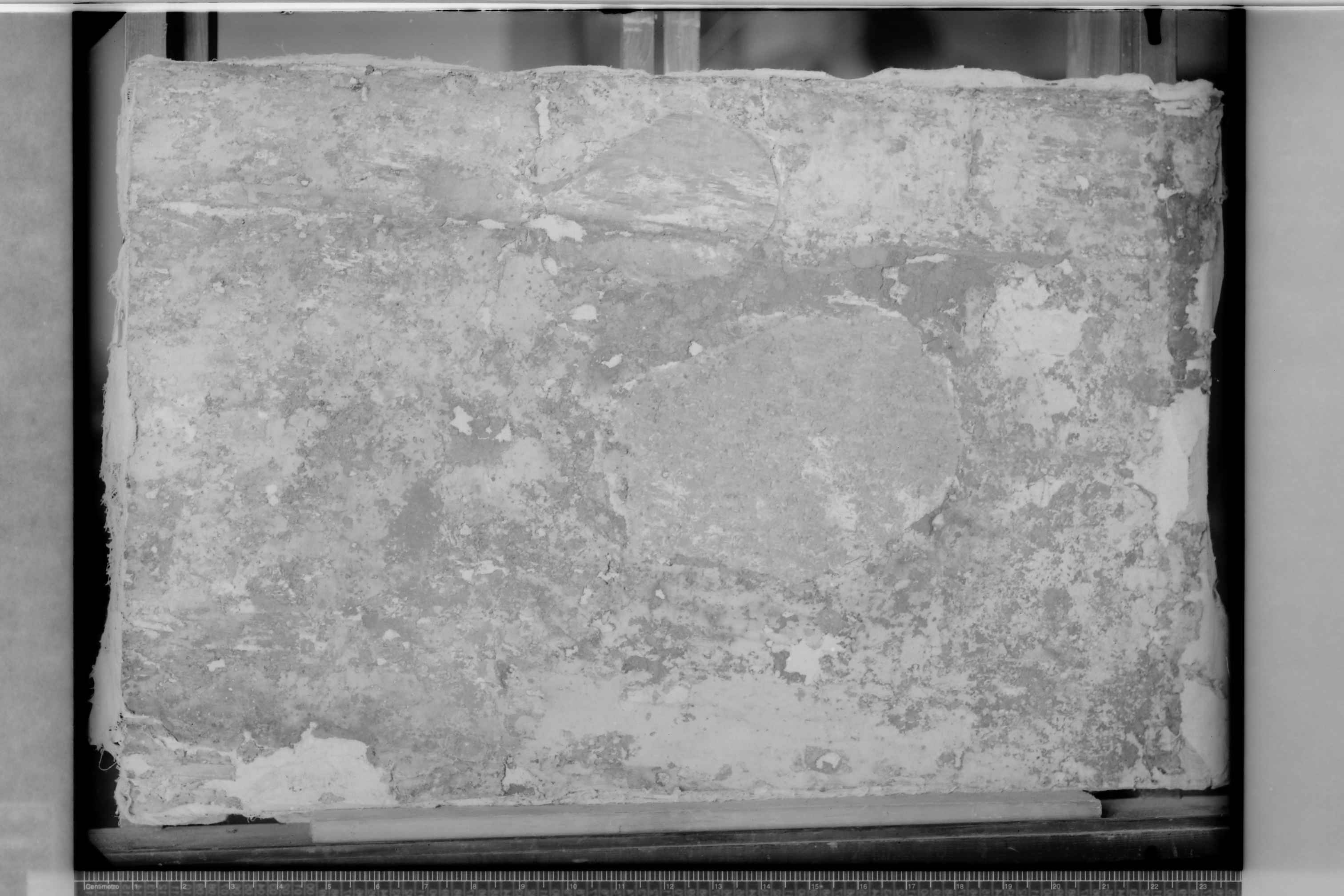 Giovinazzo (BA) - Cattedrale (negativo) di Croce, Umberto (terzo quarto XX)