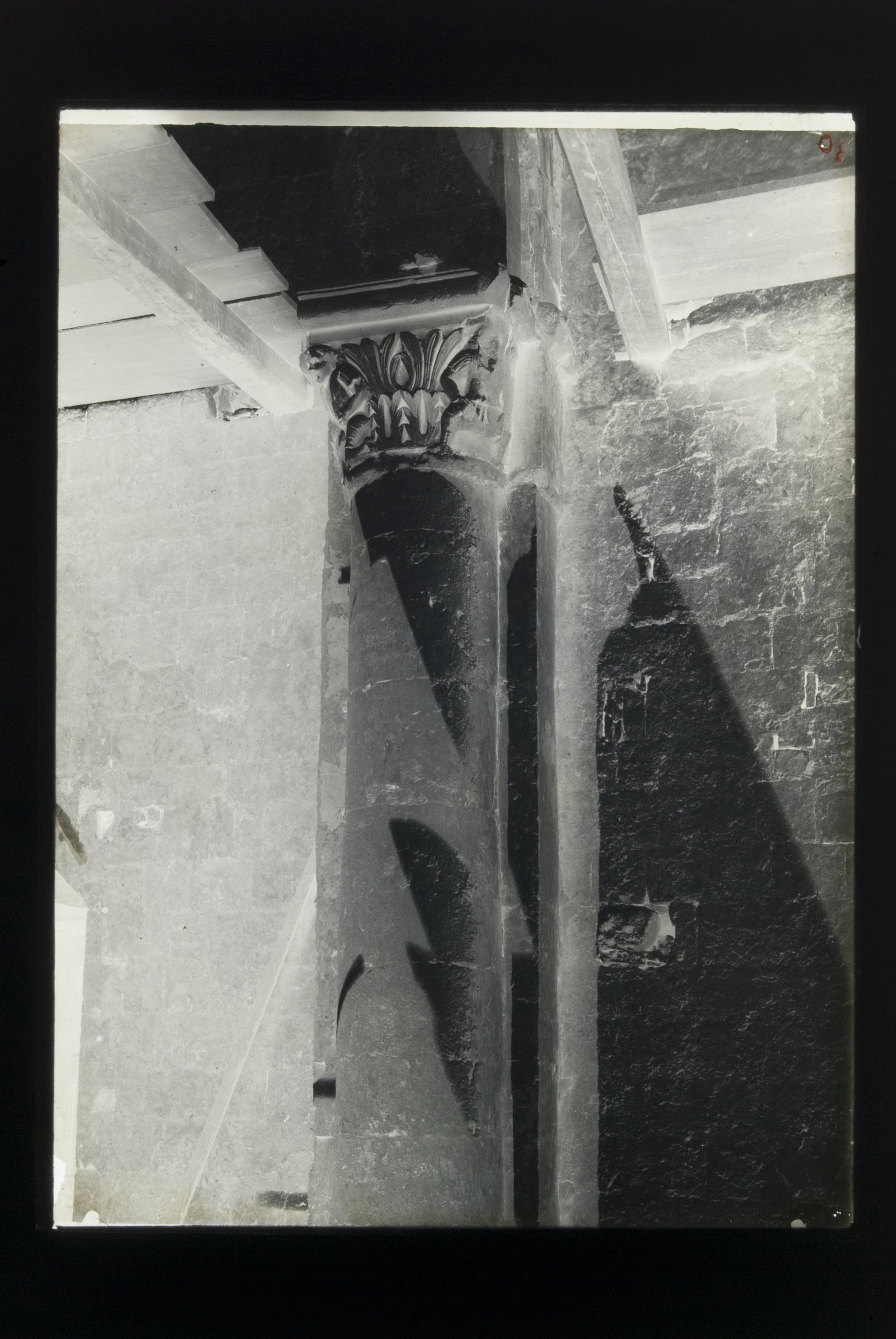 Conversano (BA), Cattedrale: particolare di colonna e semicapitello (negativo) di Russo, Casimiro Angelo (secondo quarto XX)