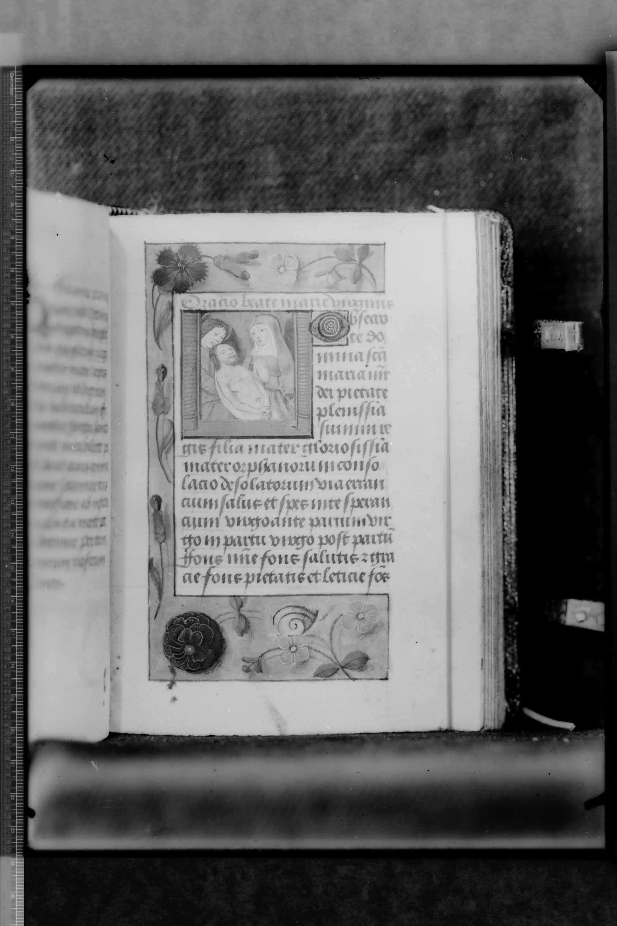 Molfetta (BA) - Biblioteca del Seminario (negativo) di Cinquepalmi, S (secondo quarto XX)