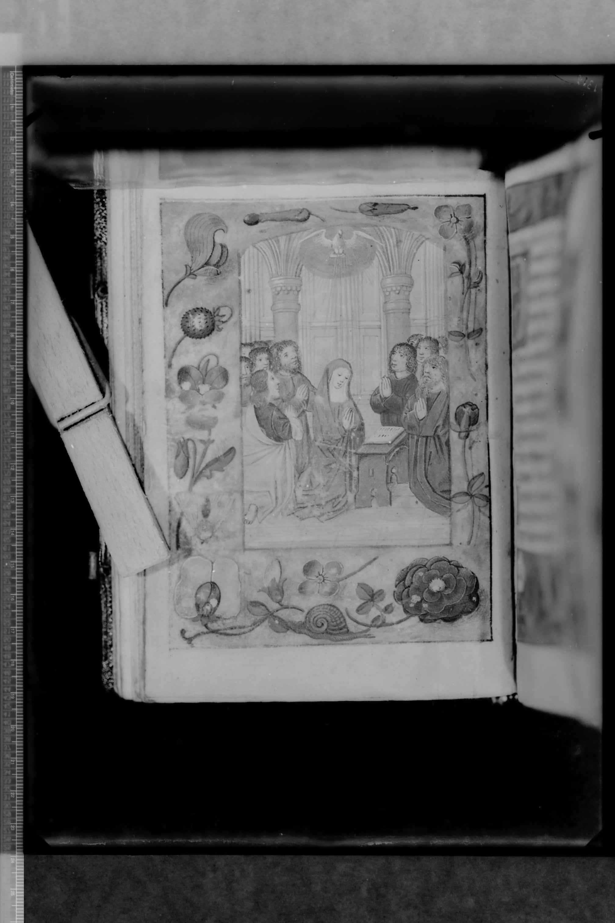 Molfetta (BA) - Biblioteca del Seminario (negativo) di Cinquepalmi, S (secondo quarto XX)