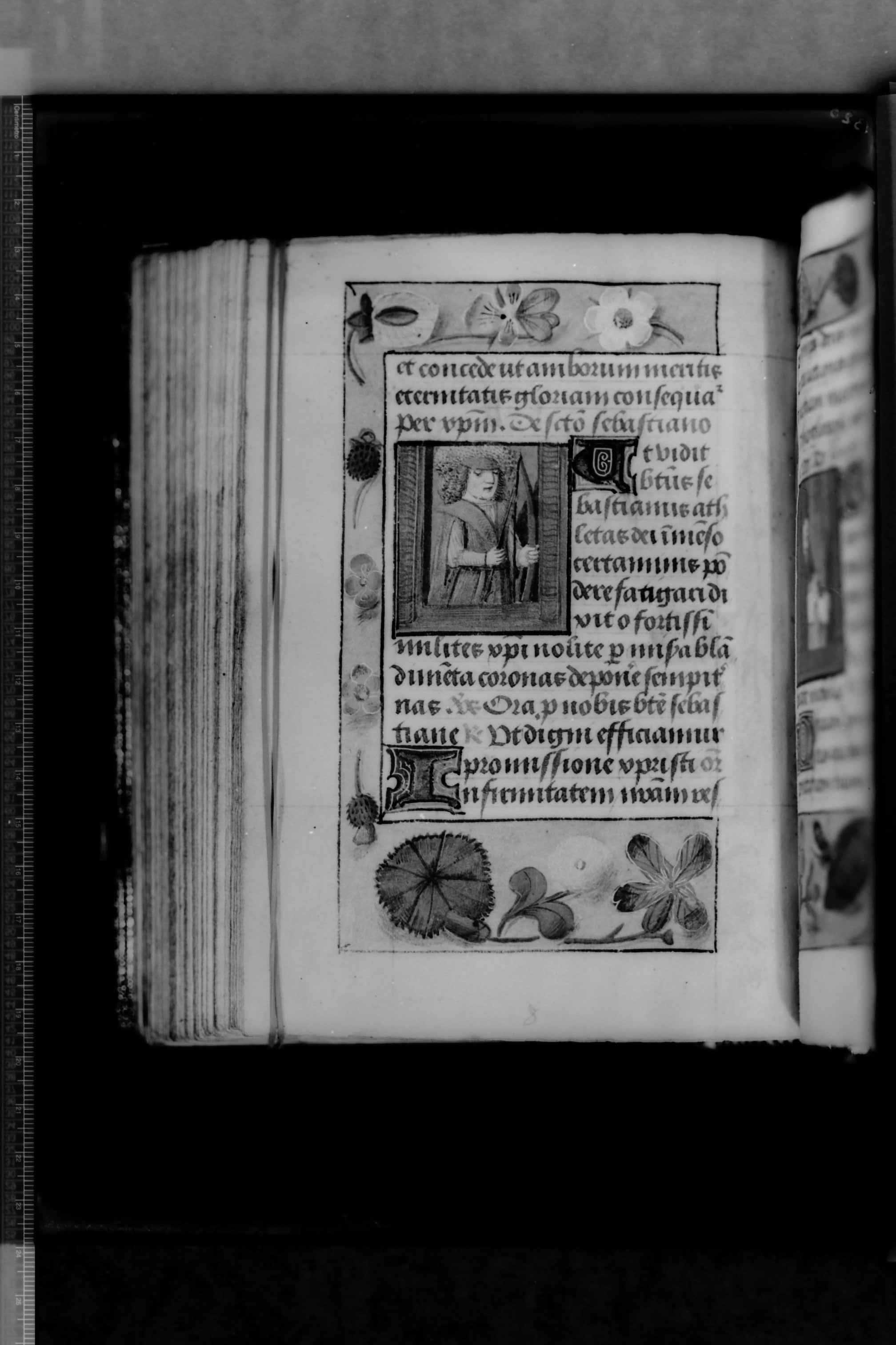 Molfetta (BA) - Biblioteca del Seminario (negativo) di Cinquepalmi, S (secondo quarto XX)